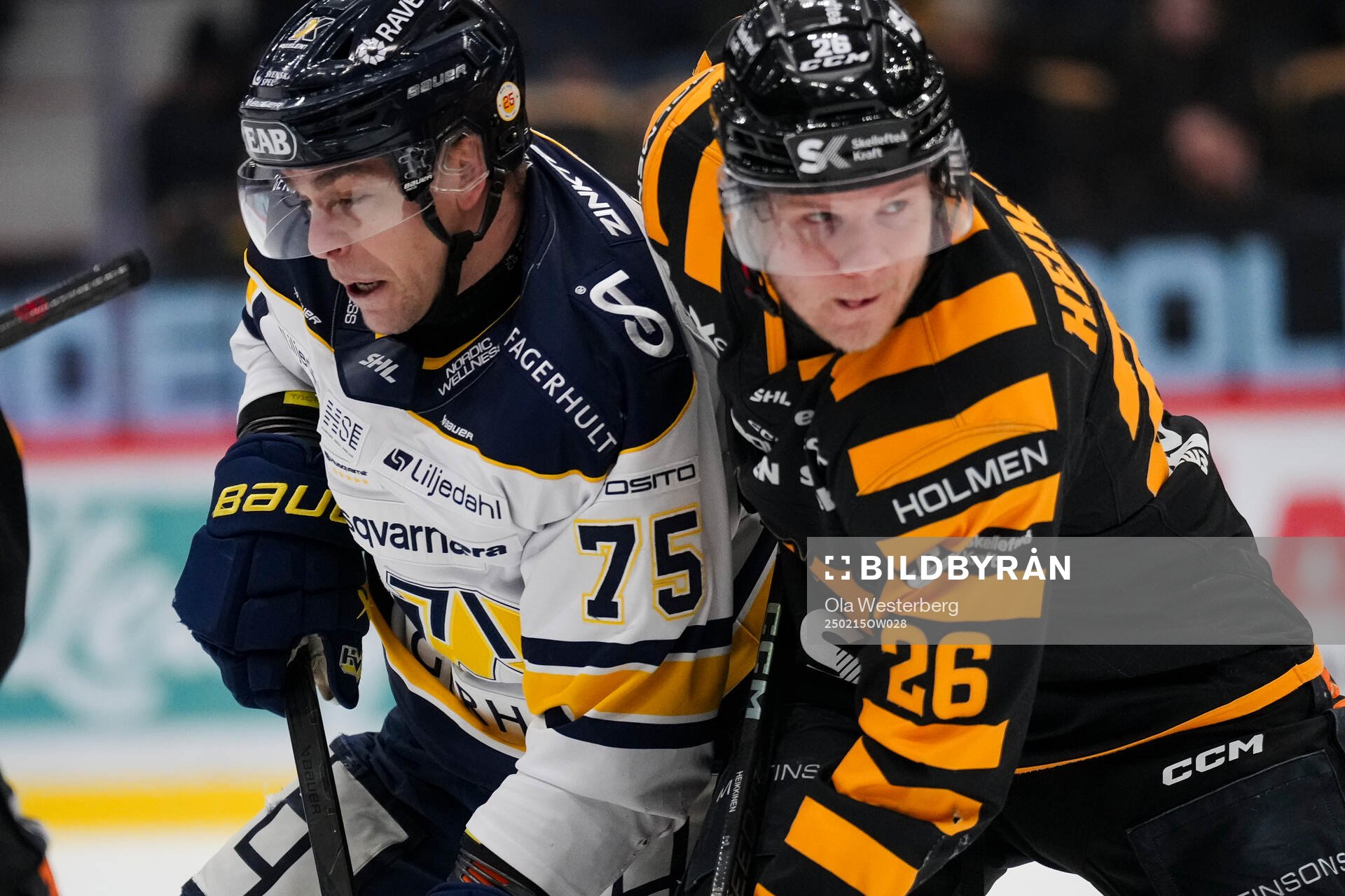 HV71s Radan Lenc och Skellefteås Anton Heikkinen