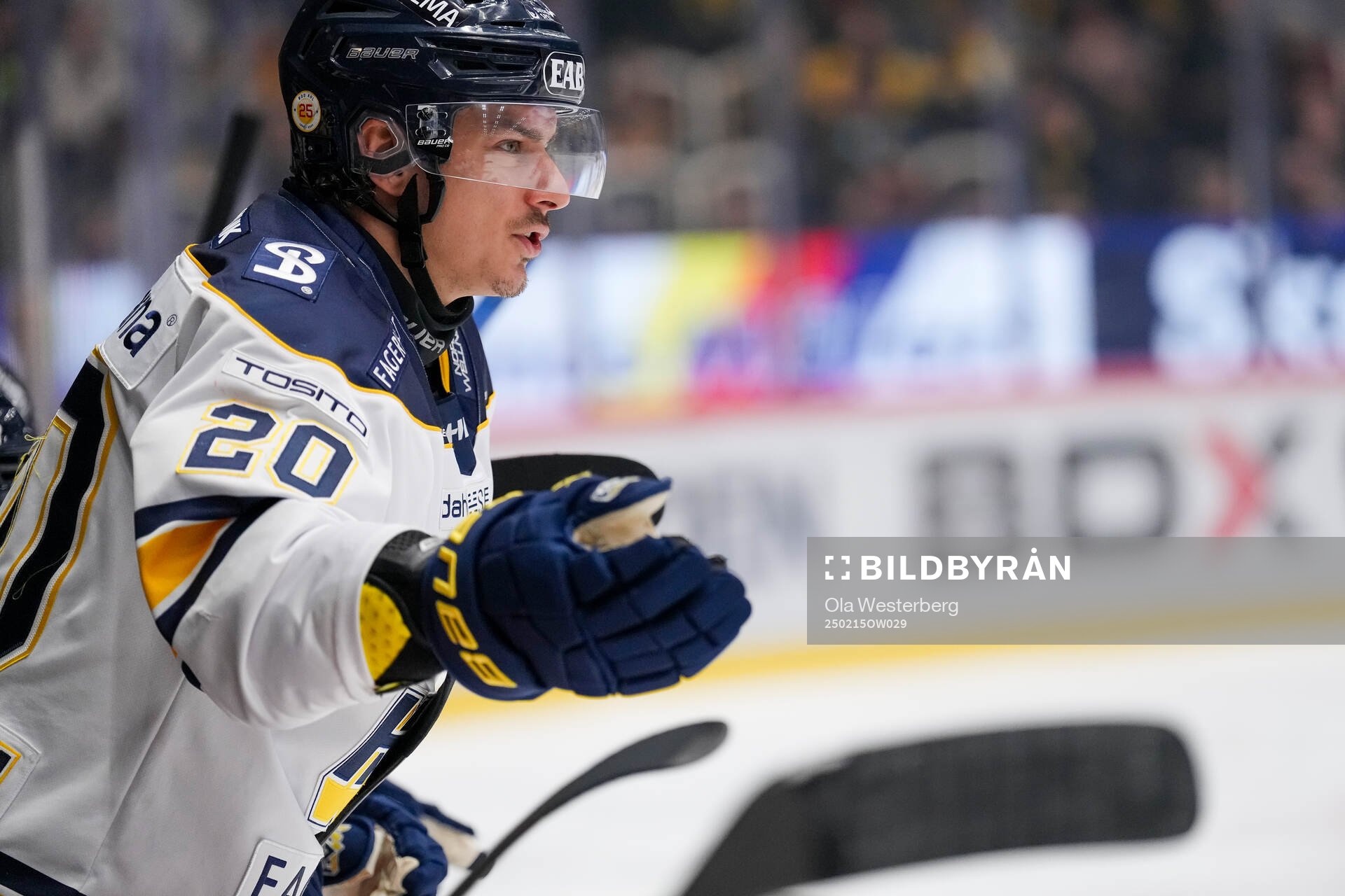 HV71s Andre Petersson