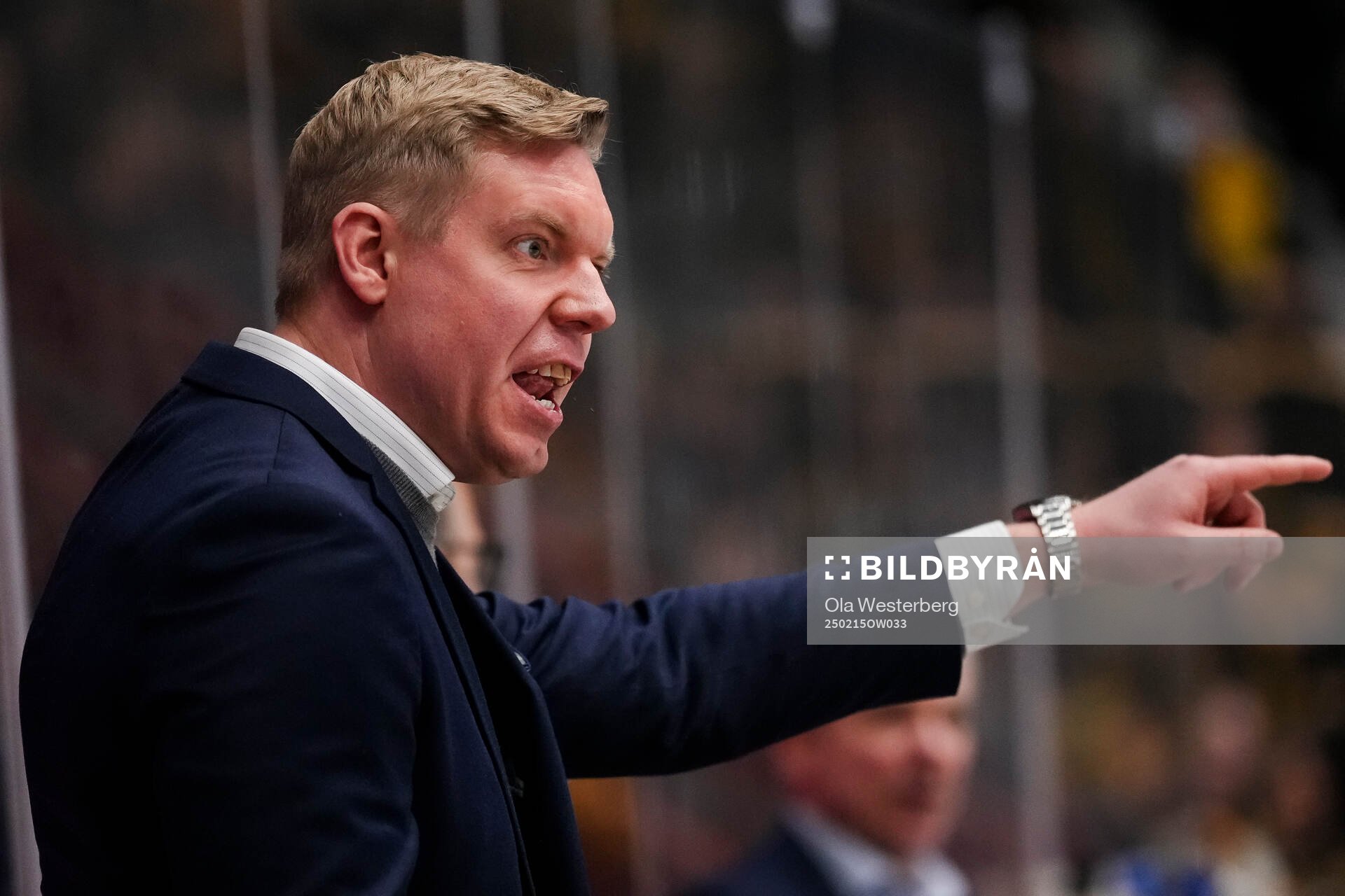 HV71s tränare Anton Blomqvist