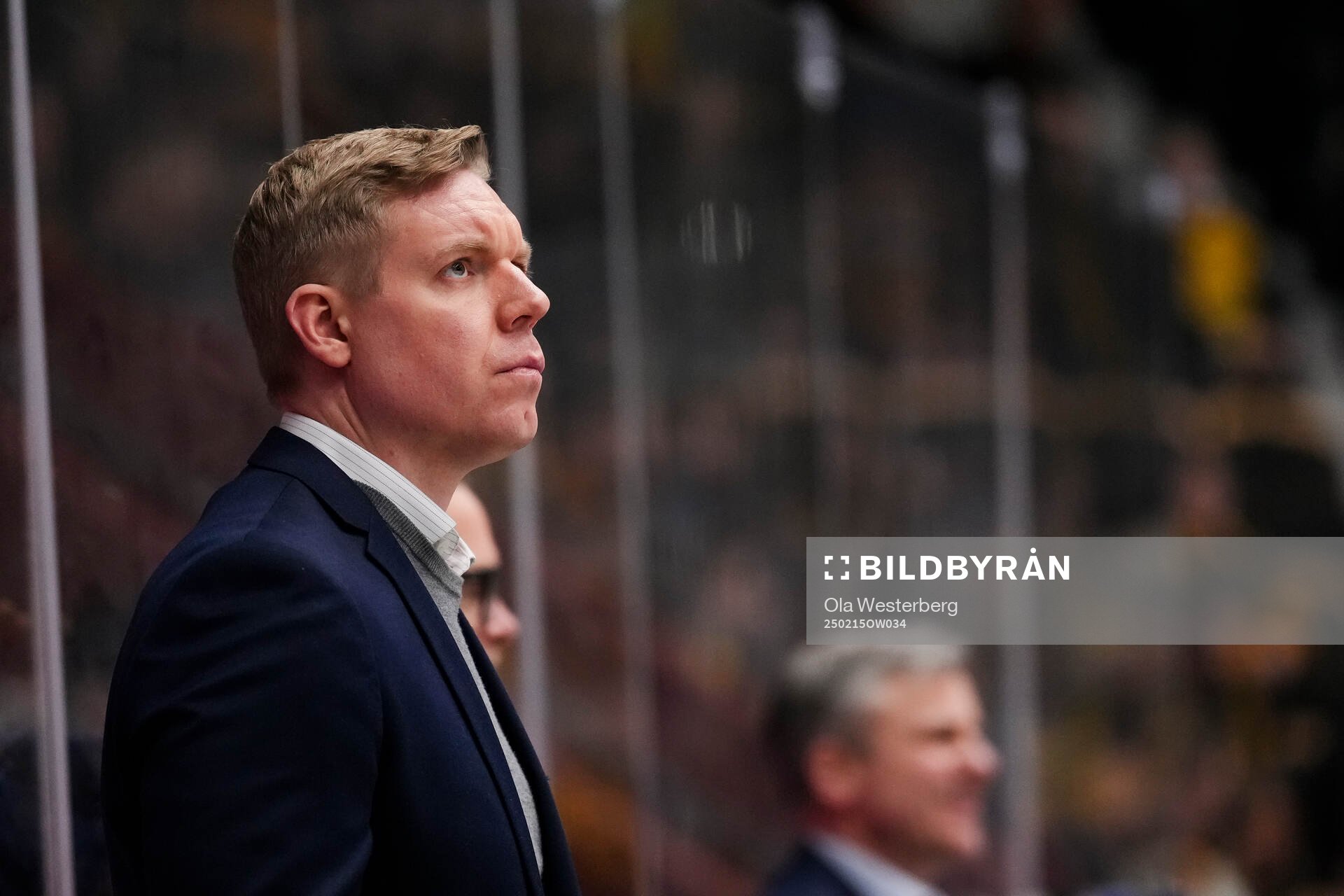 HV71s tränare Anton Blomqvist