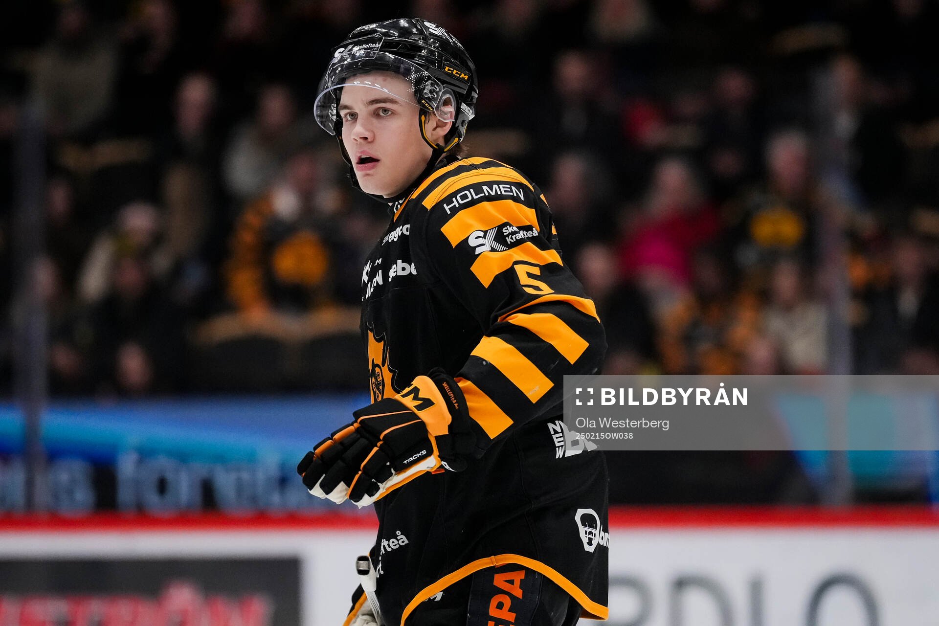Skellefteås Axel Sandin Pellikka