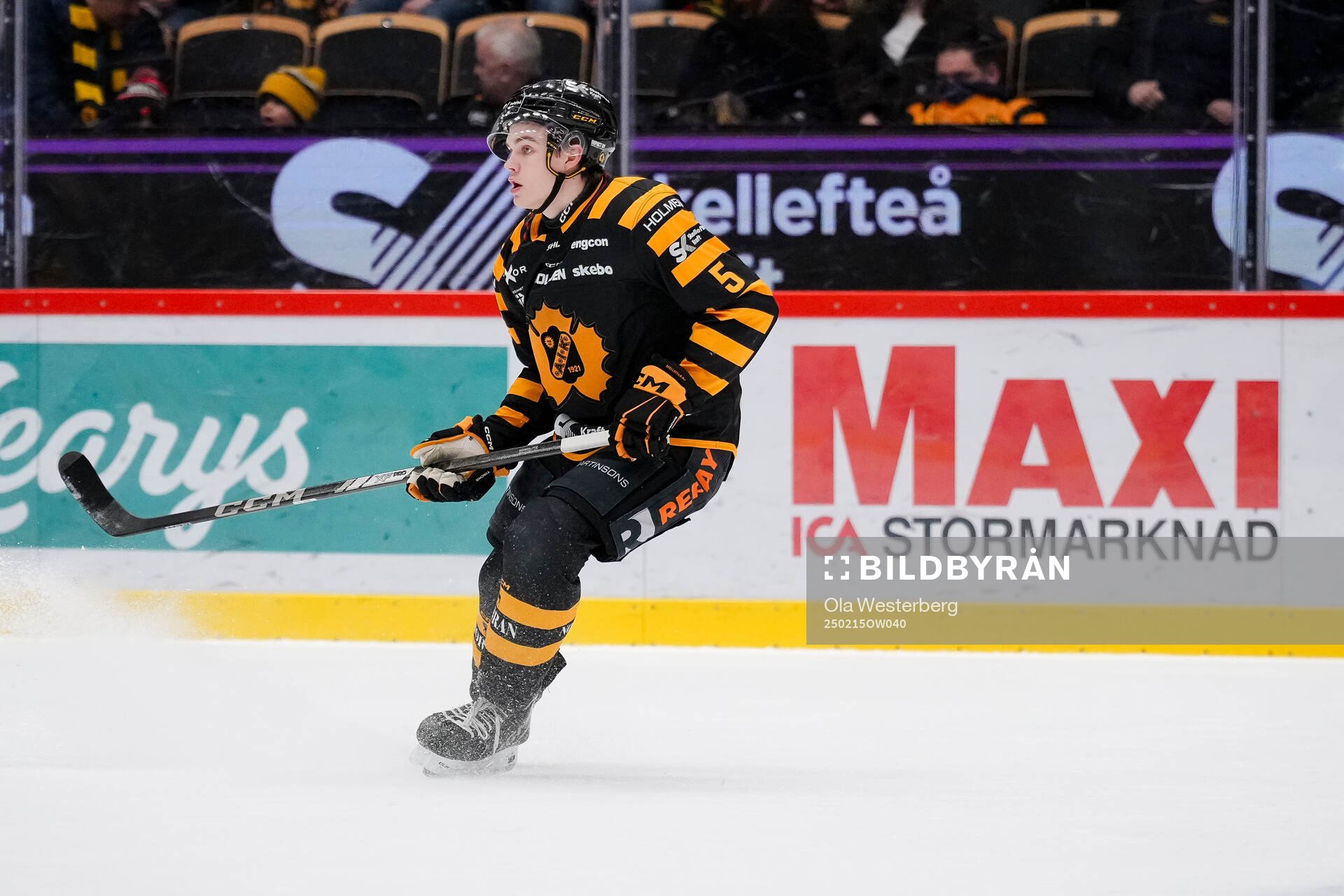 Skellefteås Axel Sandin Pellikka