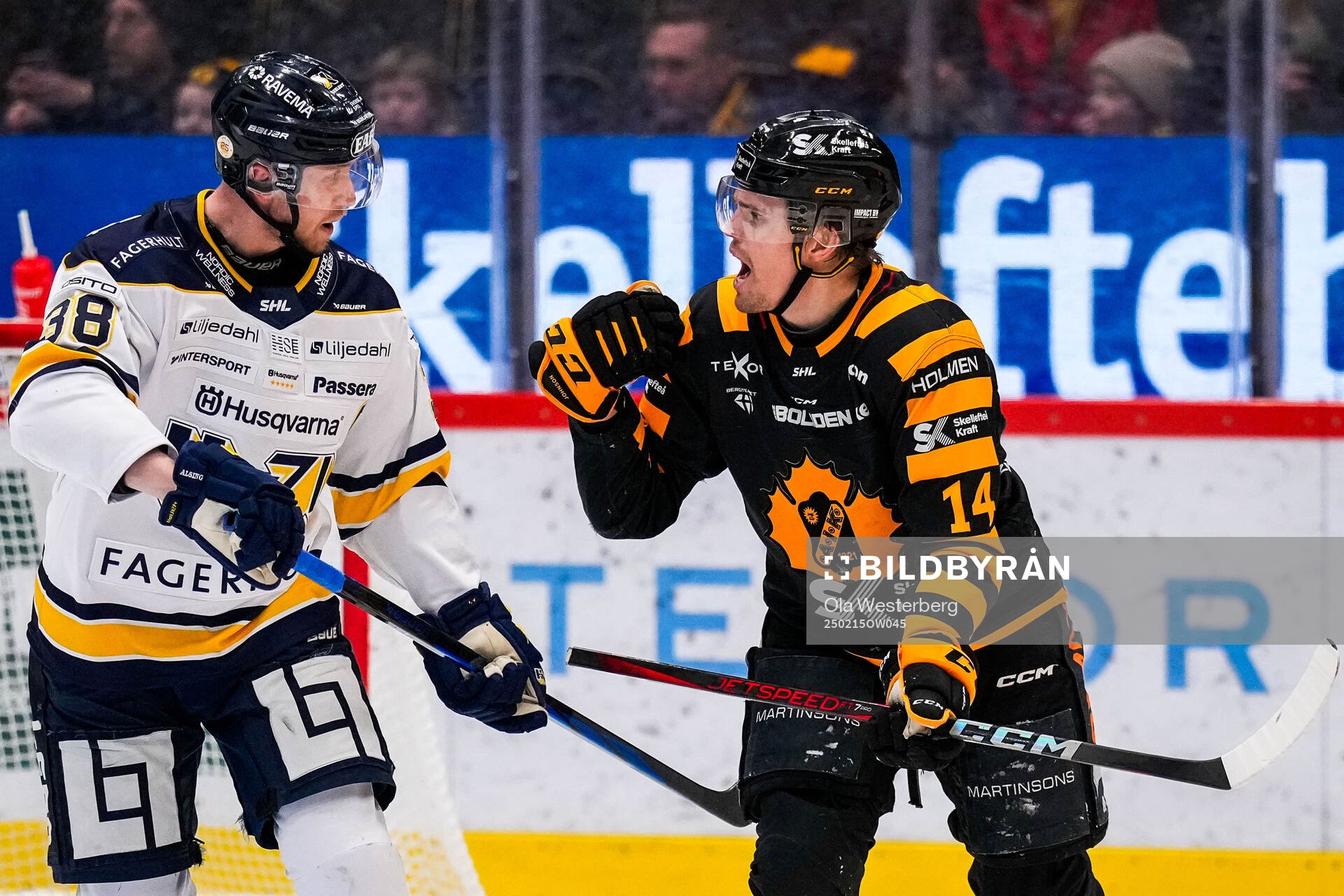 HV71s Olle Alsing och Skellefteås Andreas Johnson