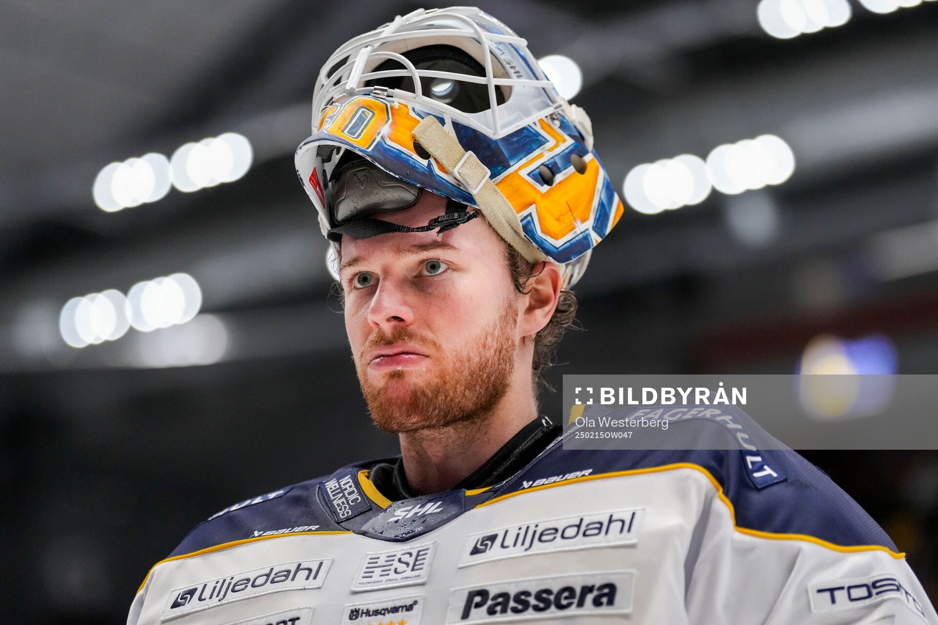 HV71s målvakt Hugo Alnefelt