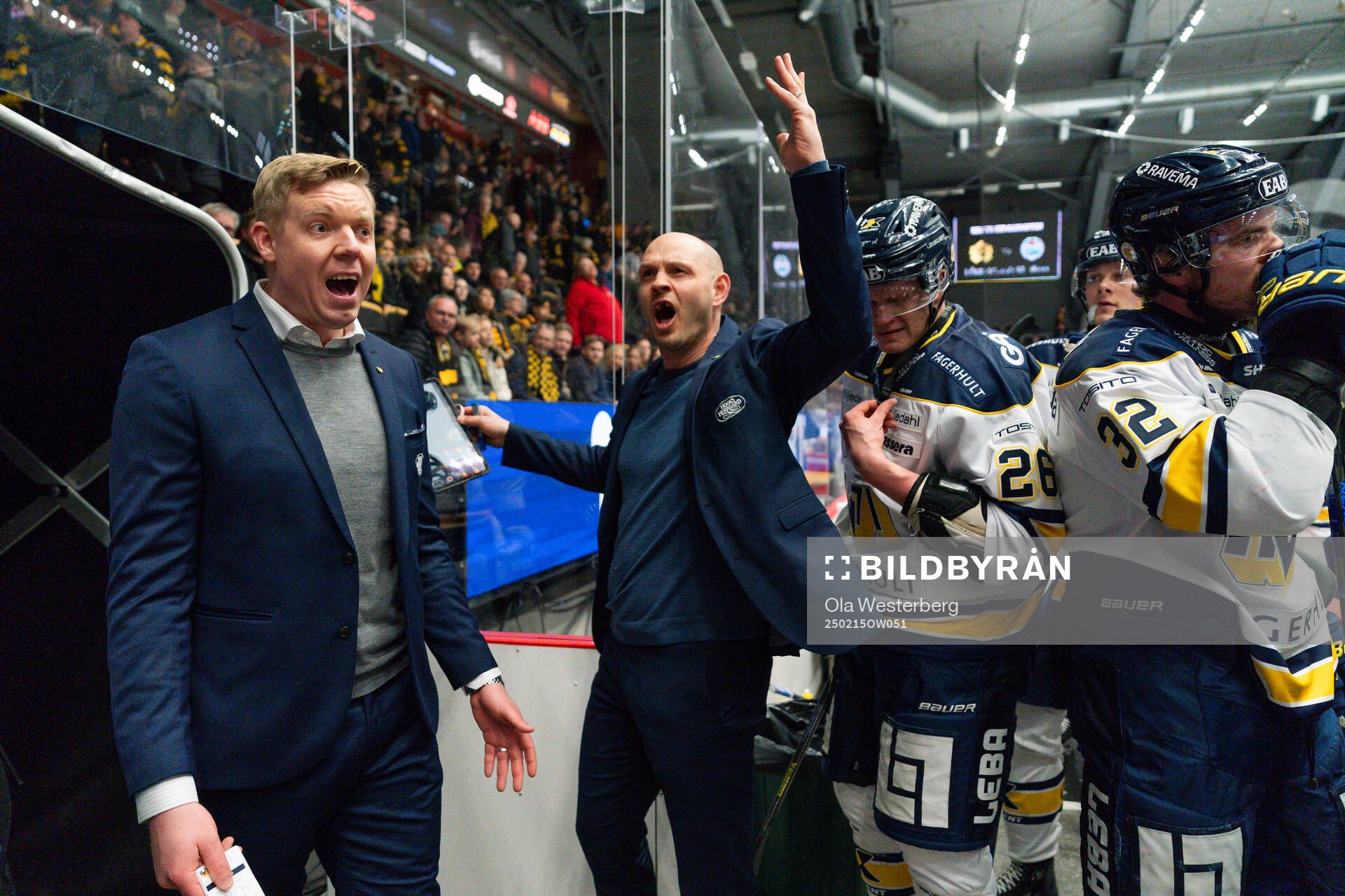 HV71s tränare Anton Blomqvist och Kris Beech