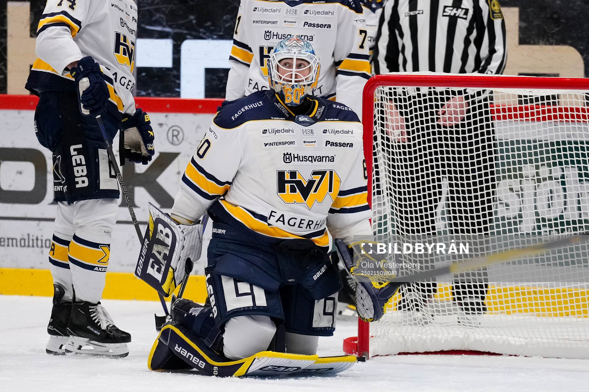 HV71s målvakt Hugo Alnefelt