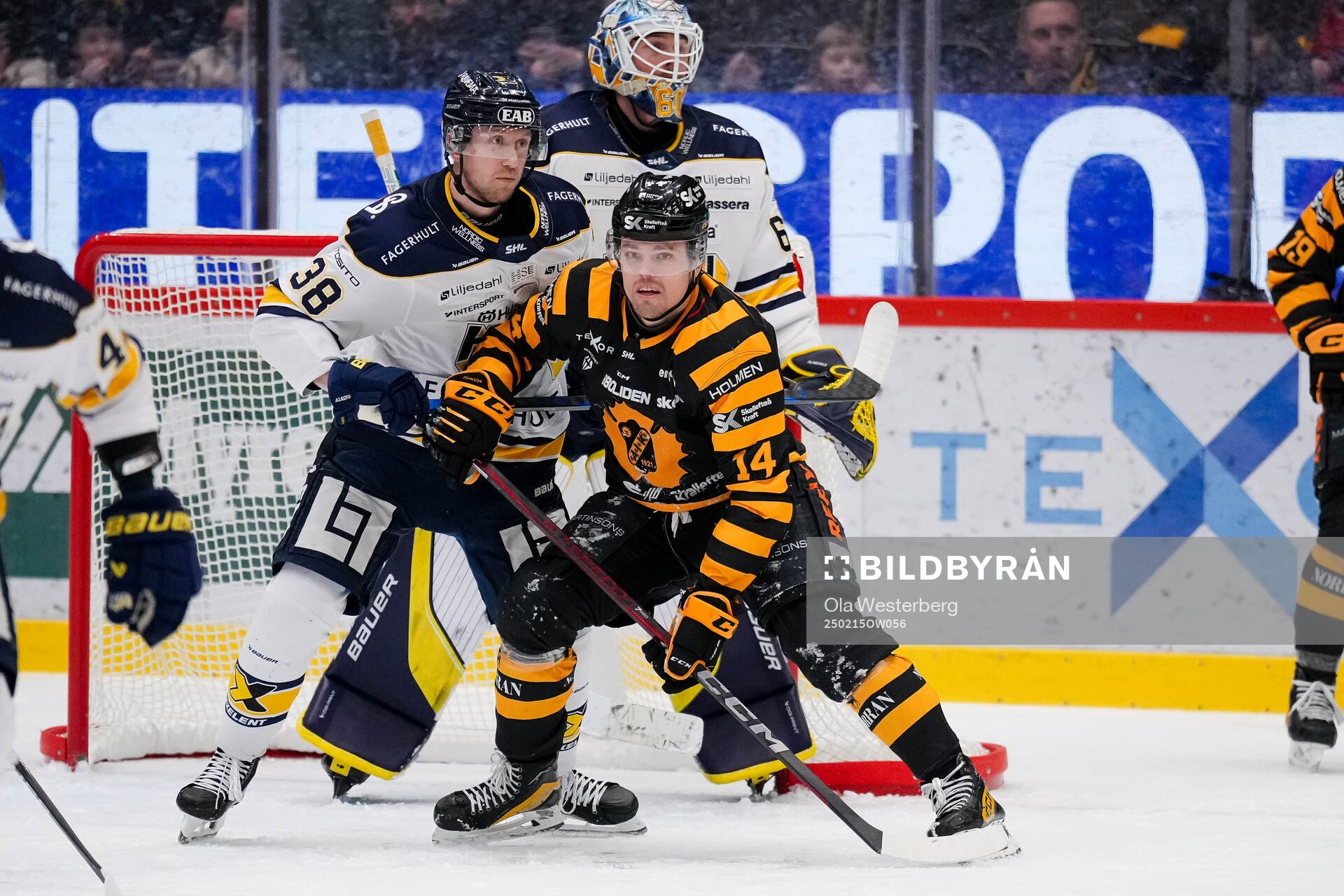 HV71s Olle Alsing