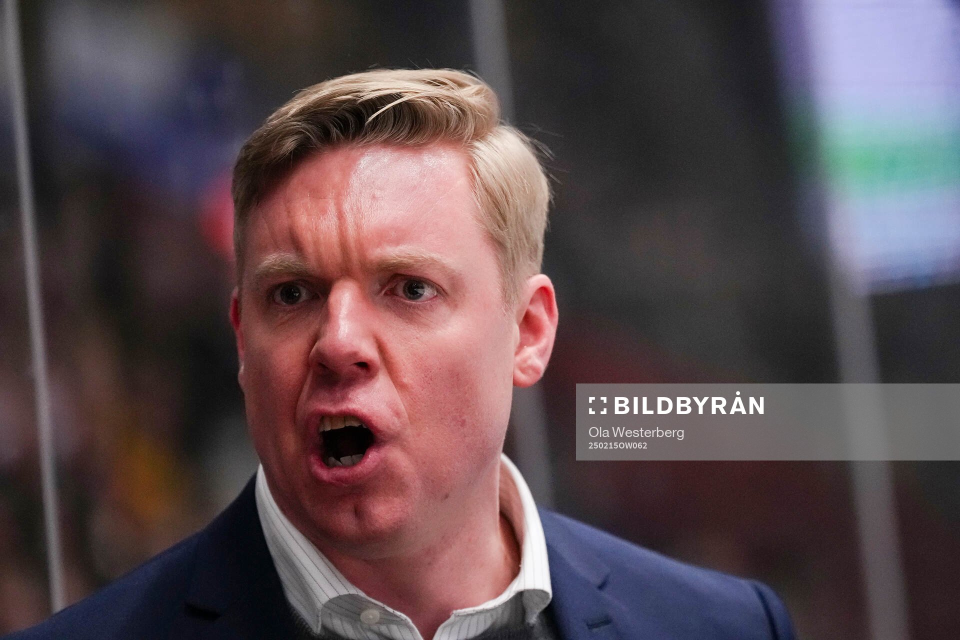 HV71s tränare Anton Blomqvist