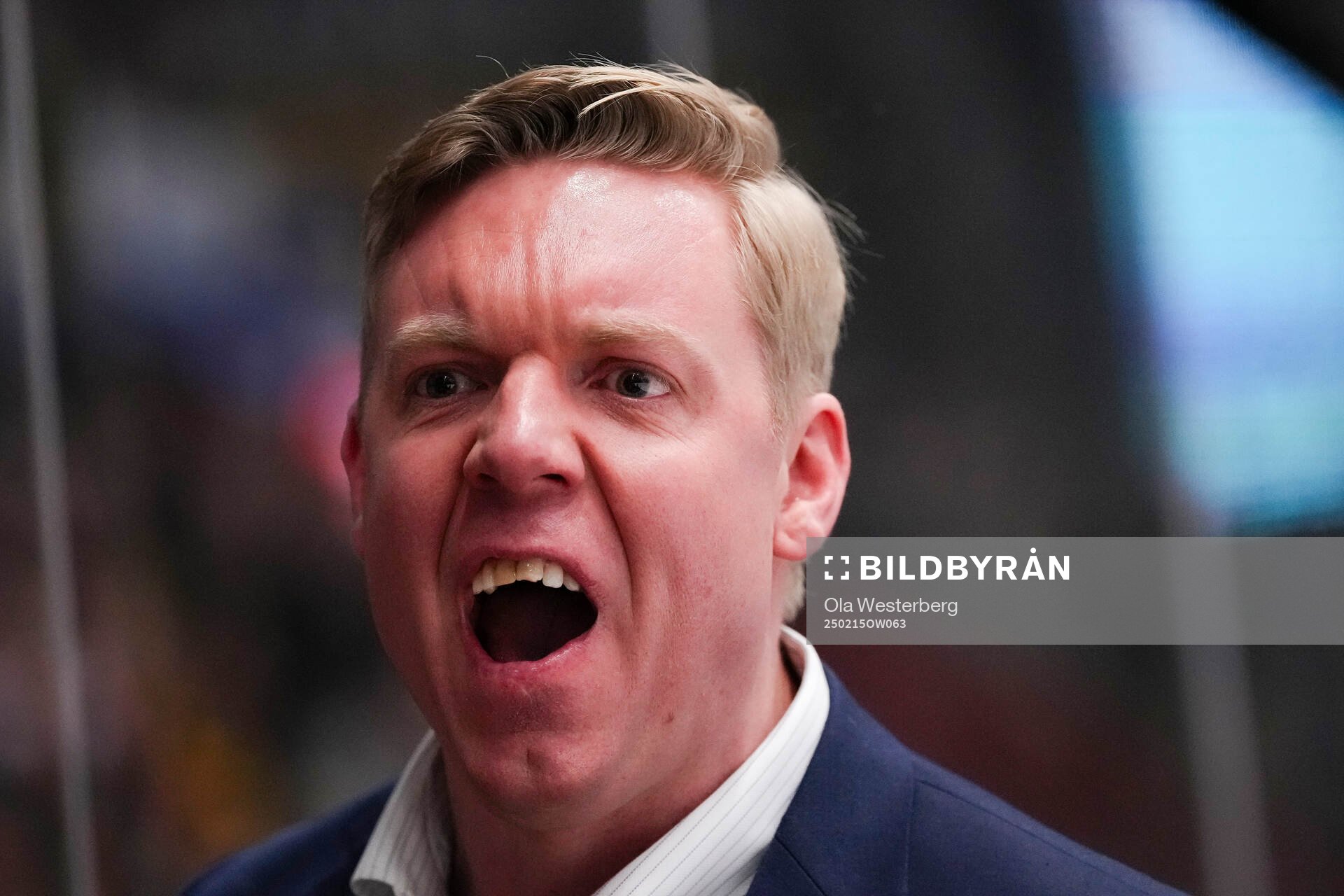 HV71s tränare Anton Blomqvist