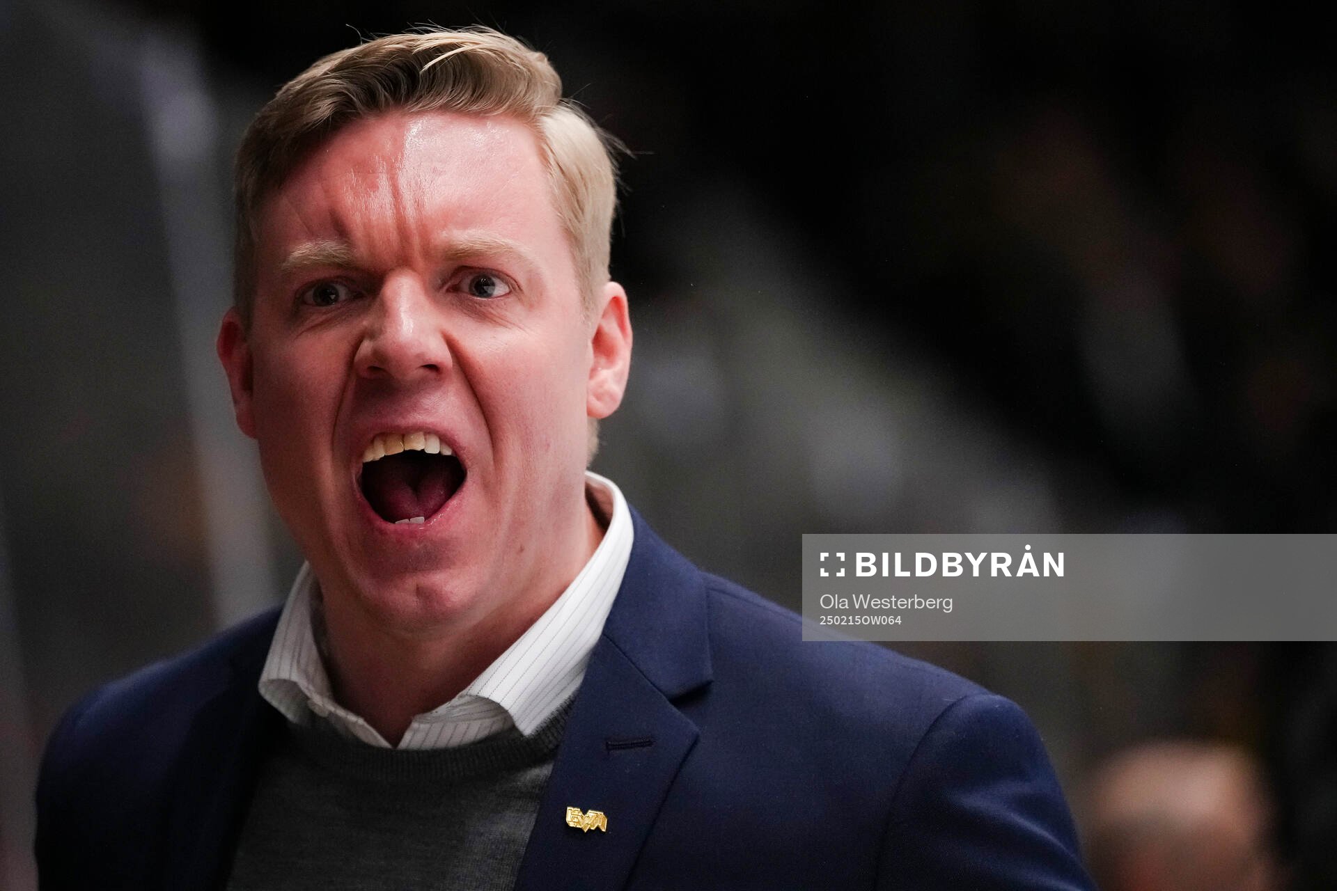 HV71s tränare Anton Blomqvist