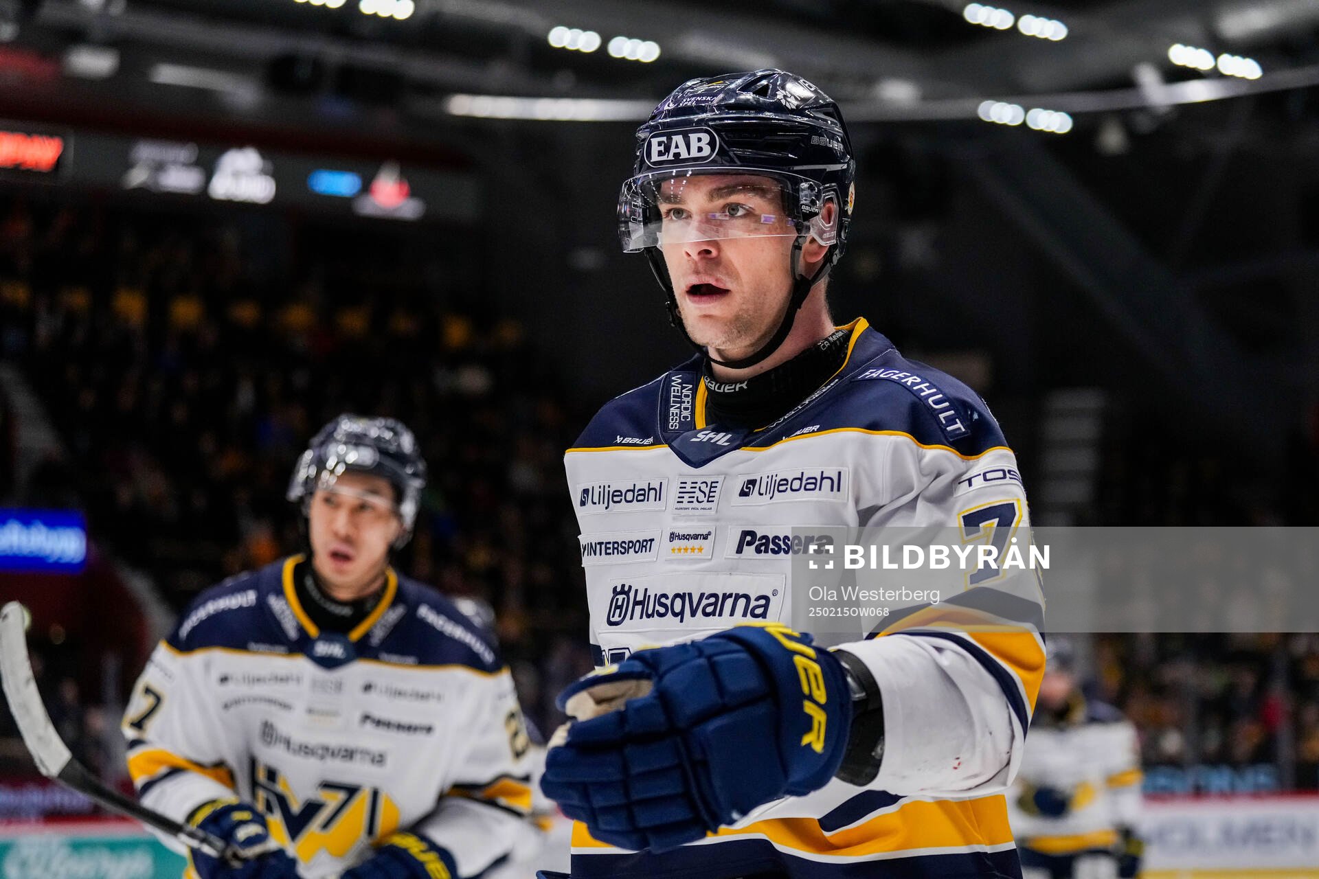 HV71s Radan Lenc jublar