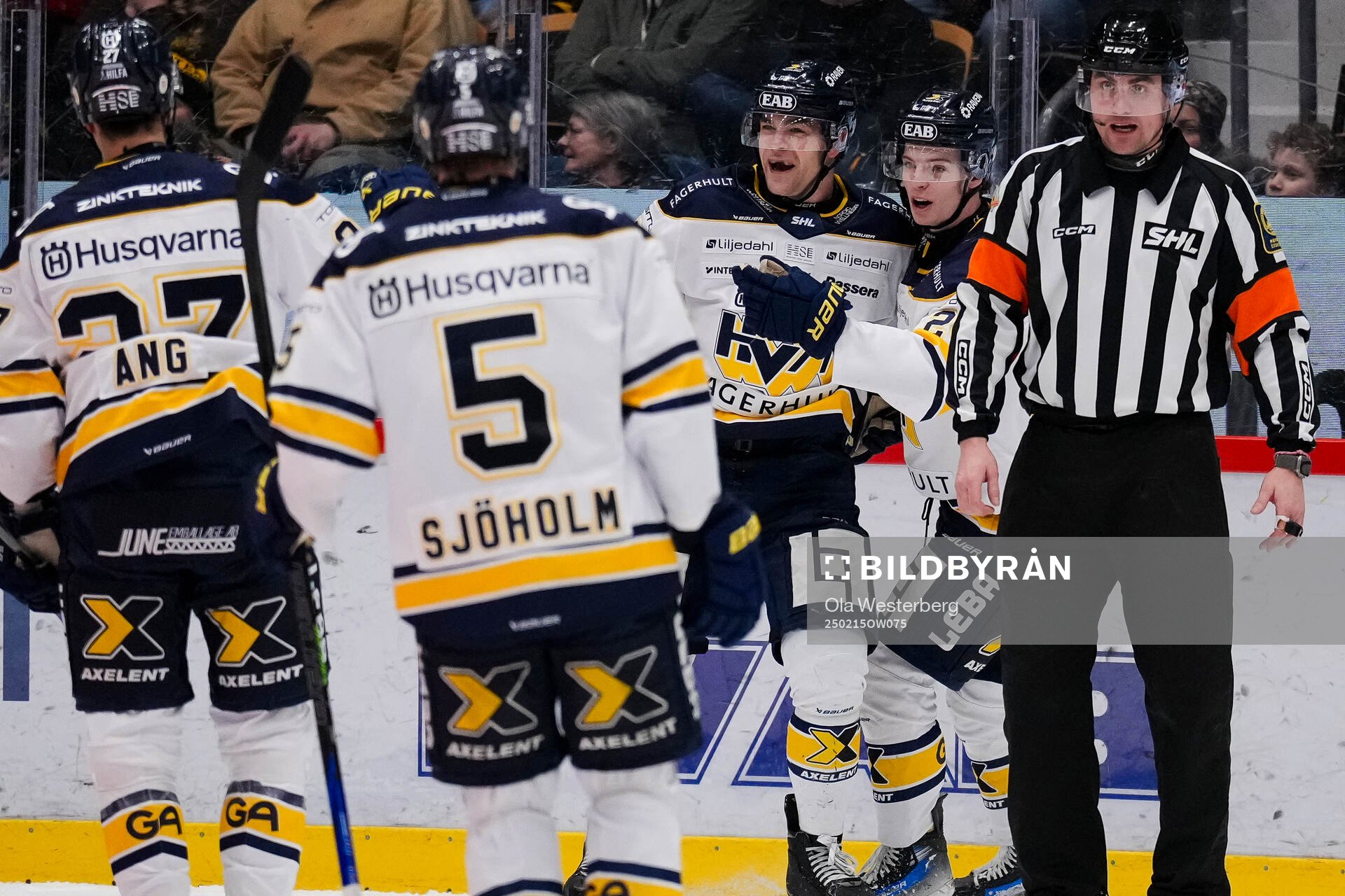 HV71s Radan Lenc jublar