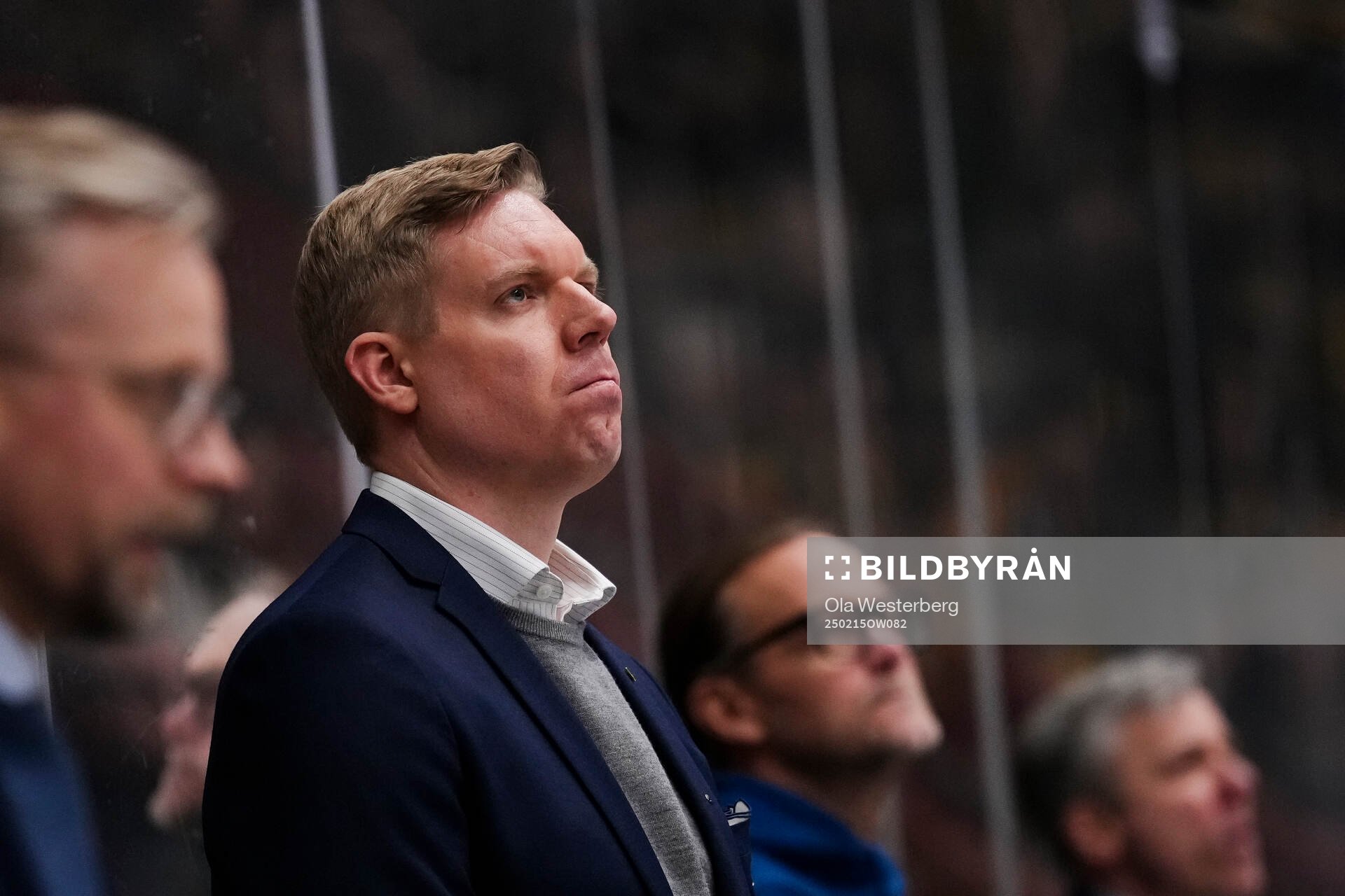 HV71s tränare Anton Blomqvist
