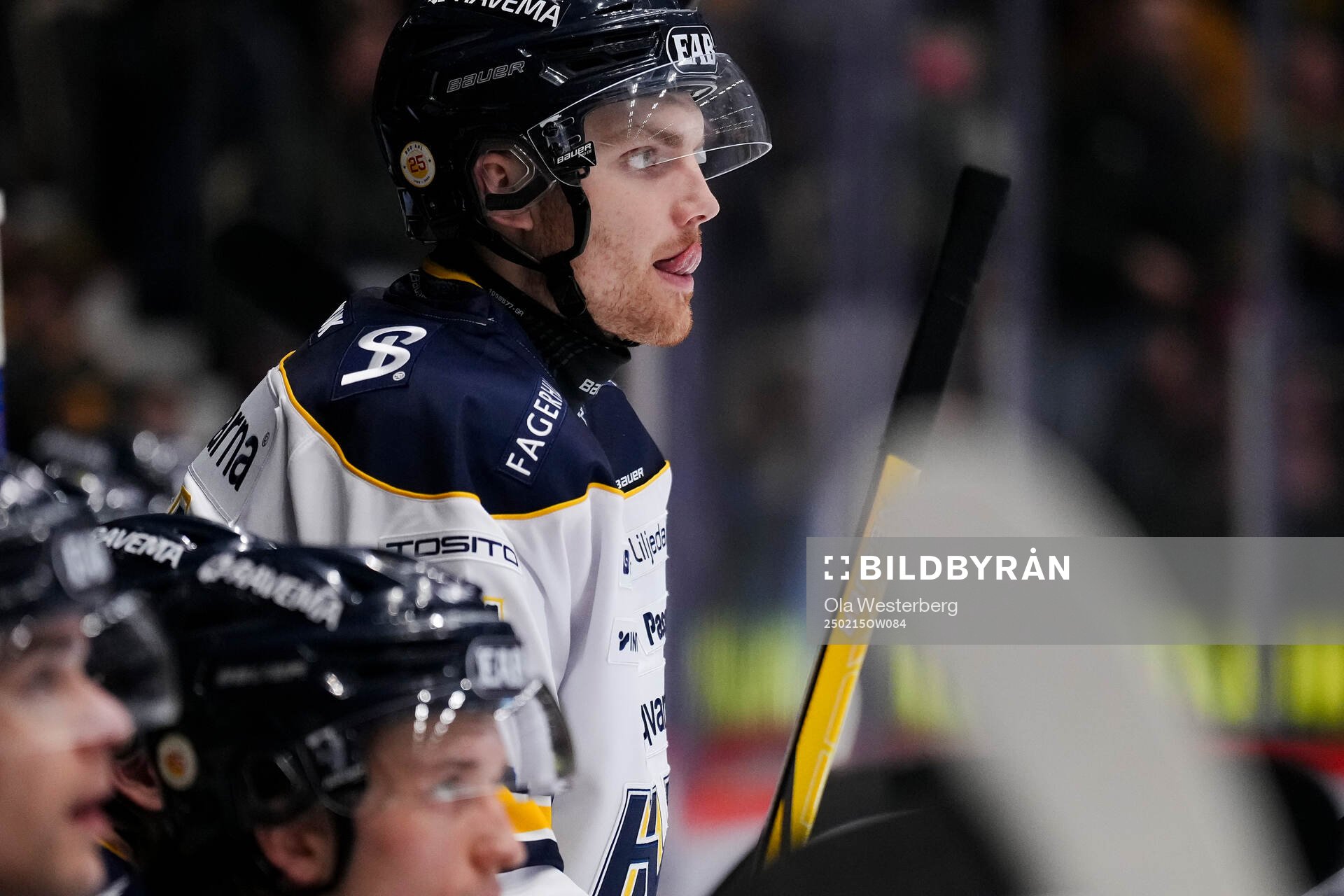 HV71s William Ignberg Nilsson