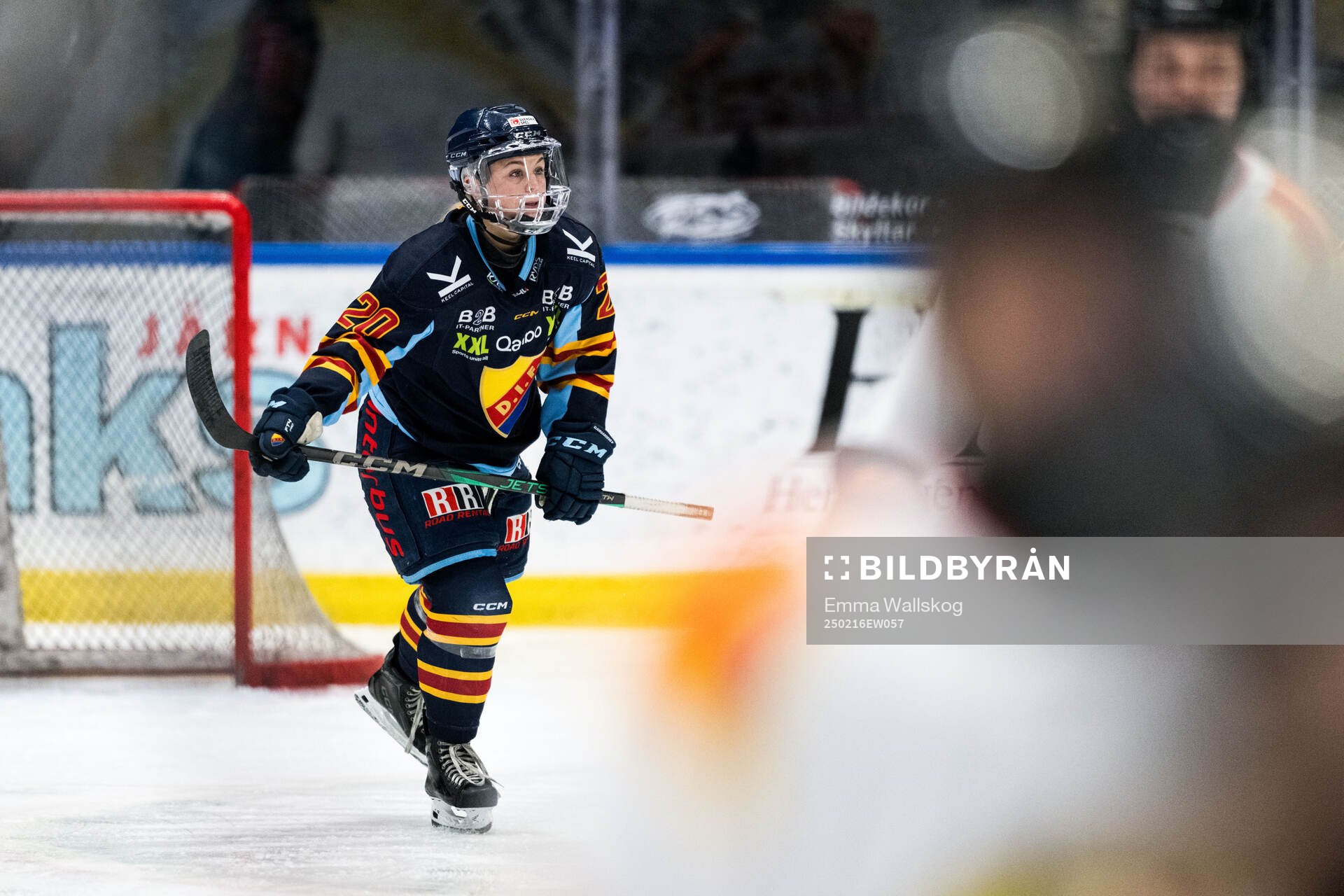 Djurgårdens Brette Pettet jublar