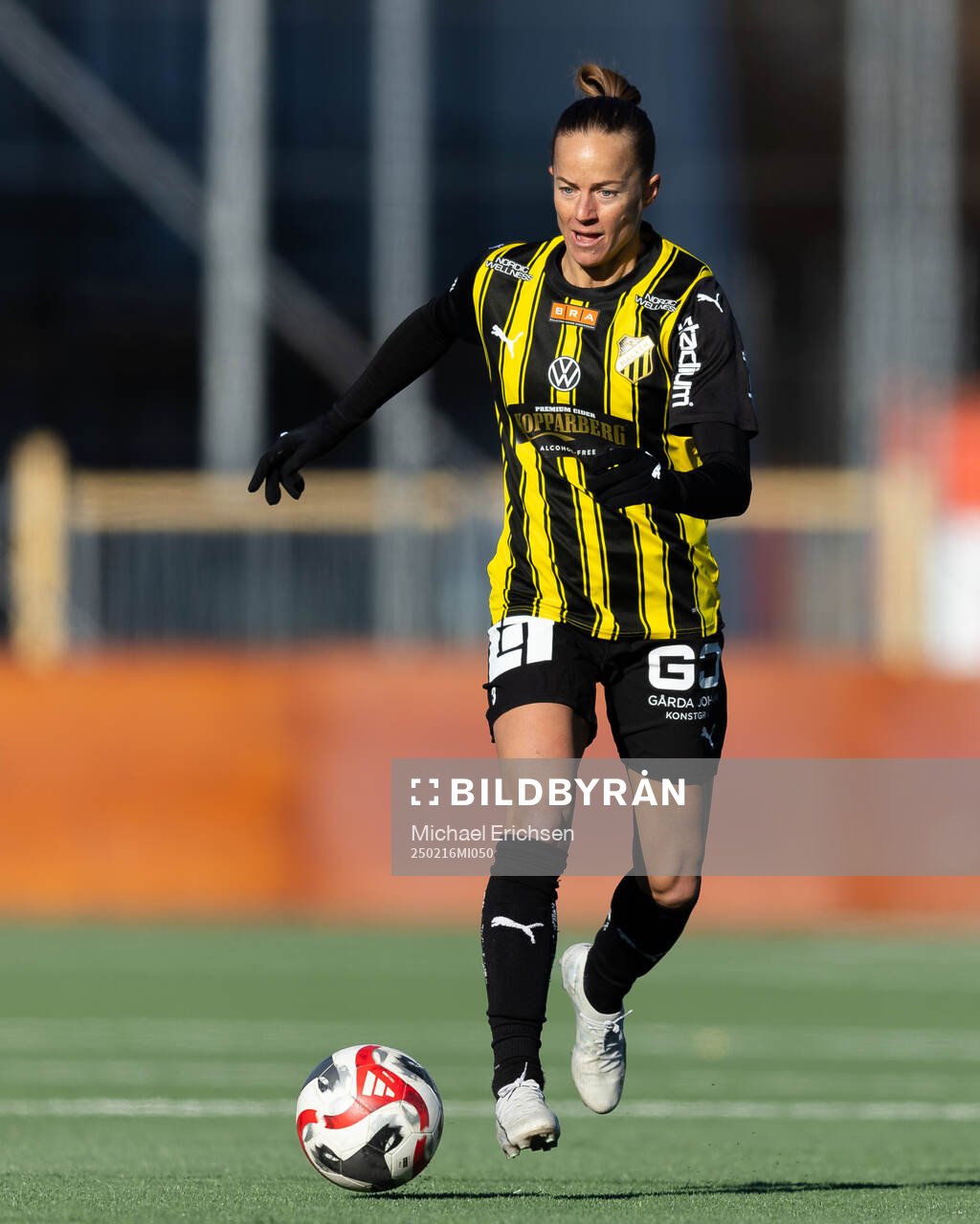 Häckens Aivi Luik