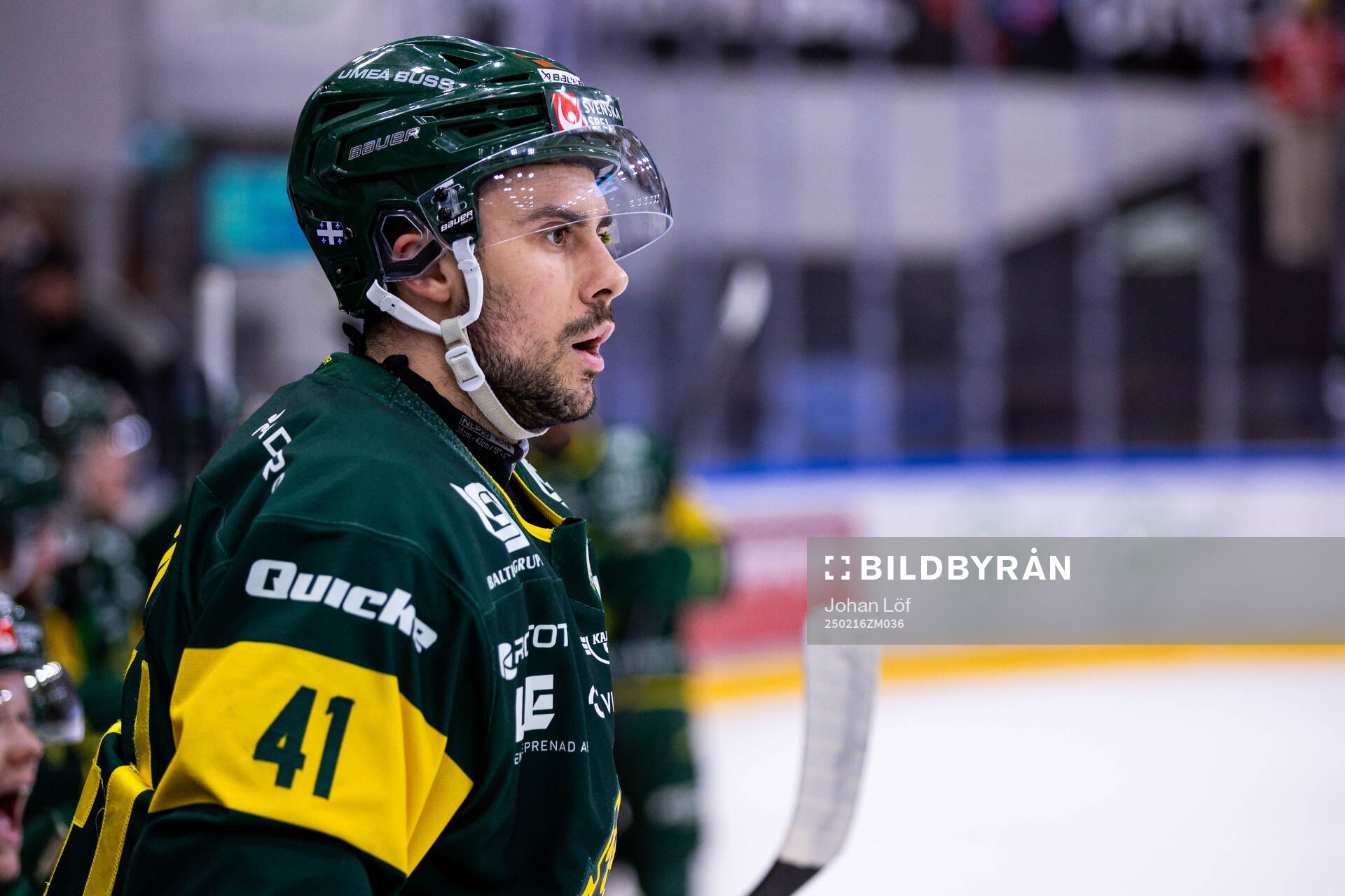 Björklövens Maxime Fortier