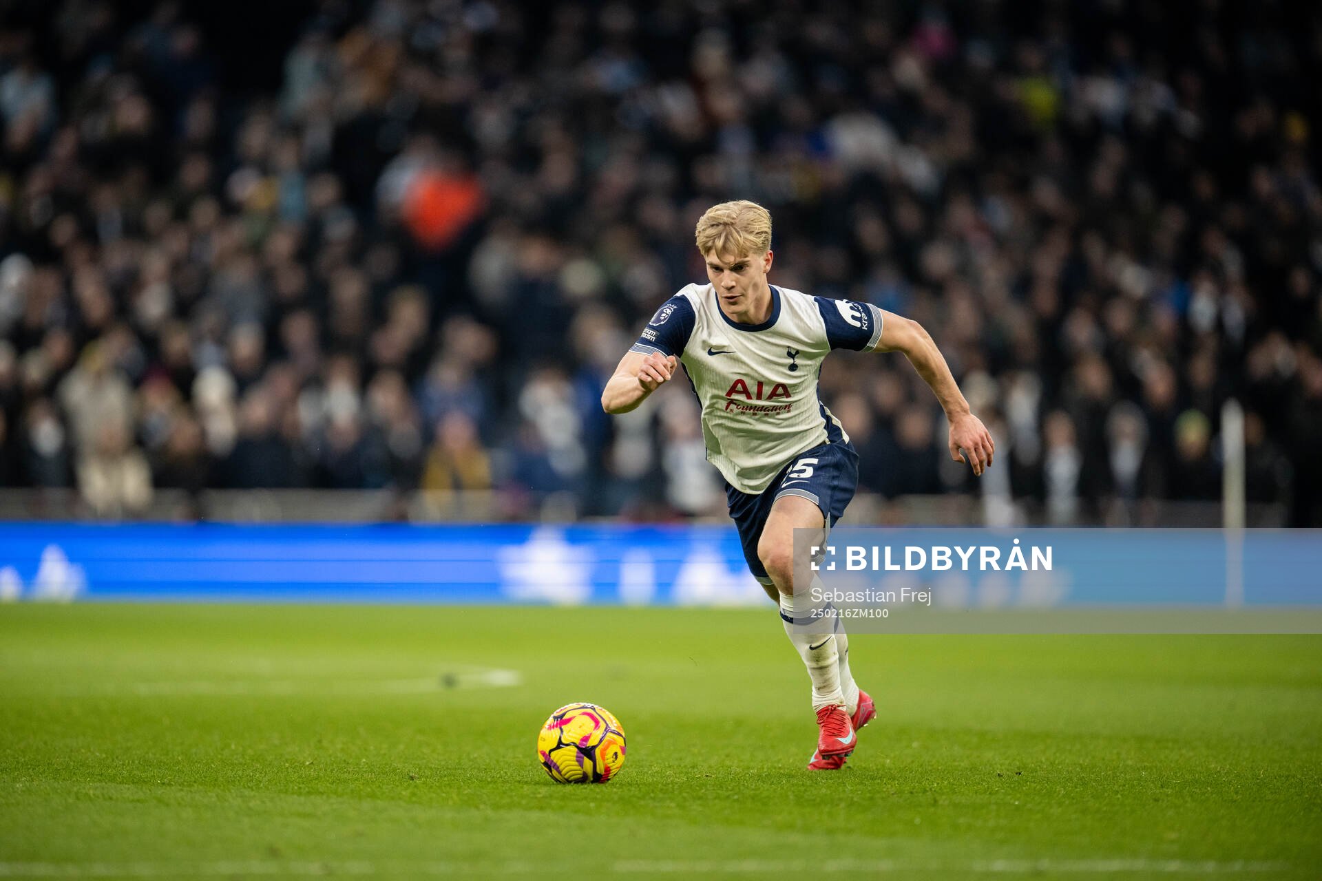 Lucas Bergvall of Tottenham
