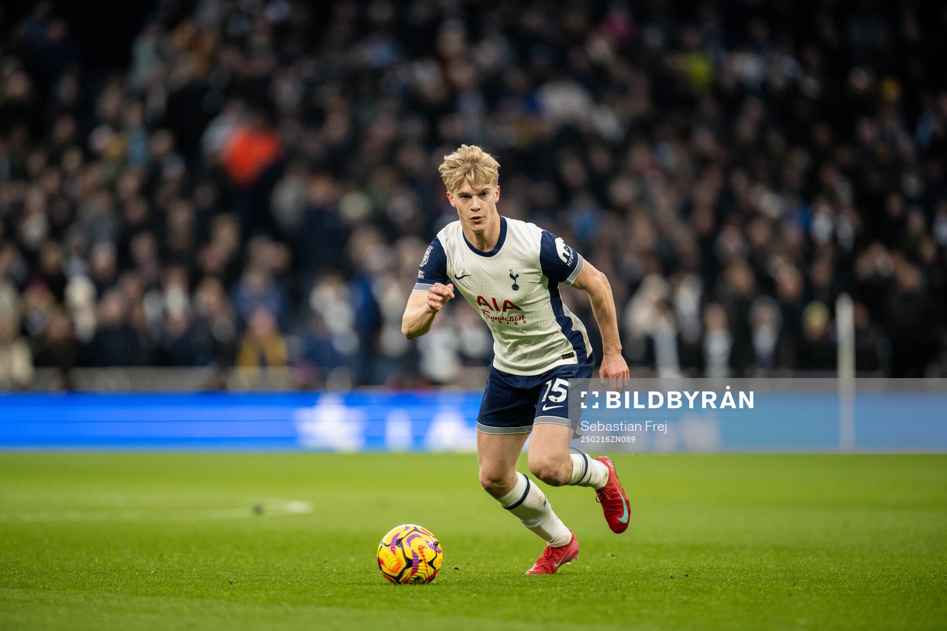 Lucas Bergvall of Tottenham
