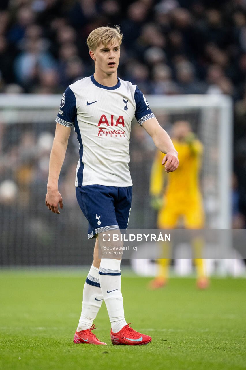 Lucas Bergvall of Tottenham