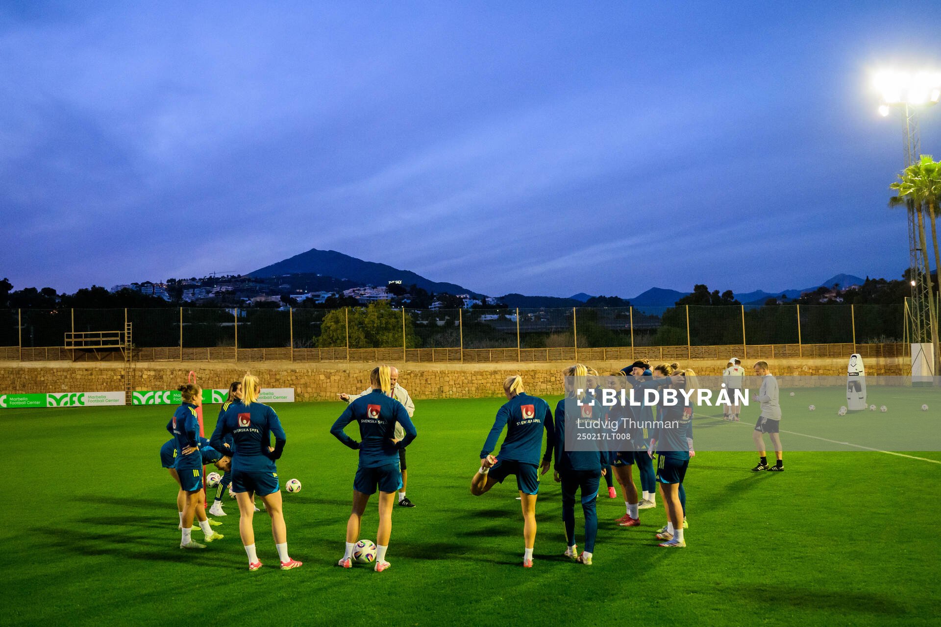 Players of Sweden
