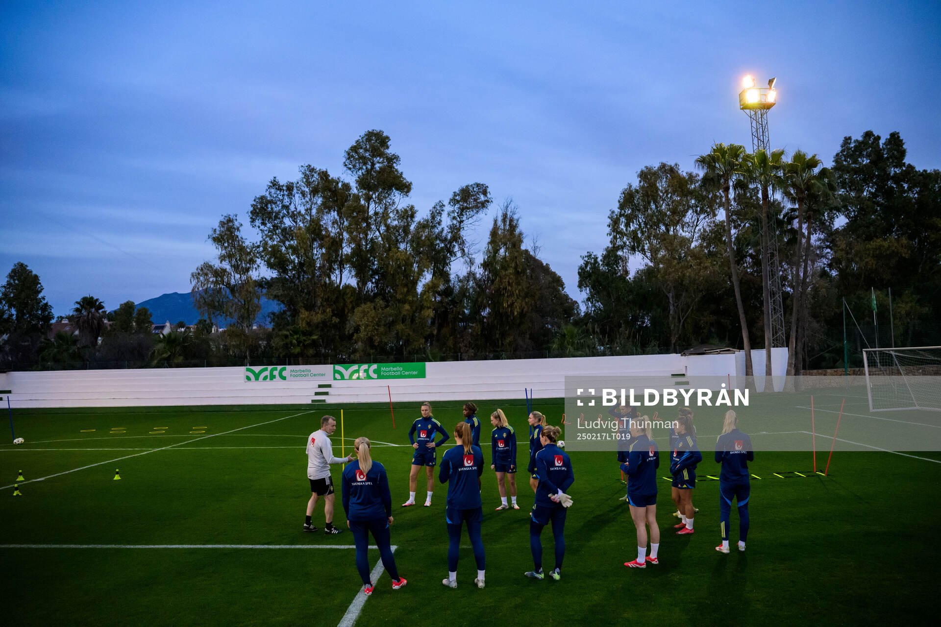 Players of Sweden