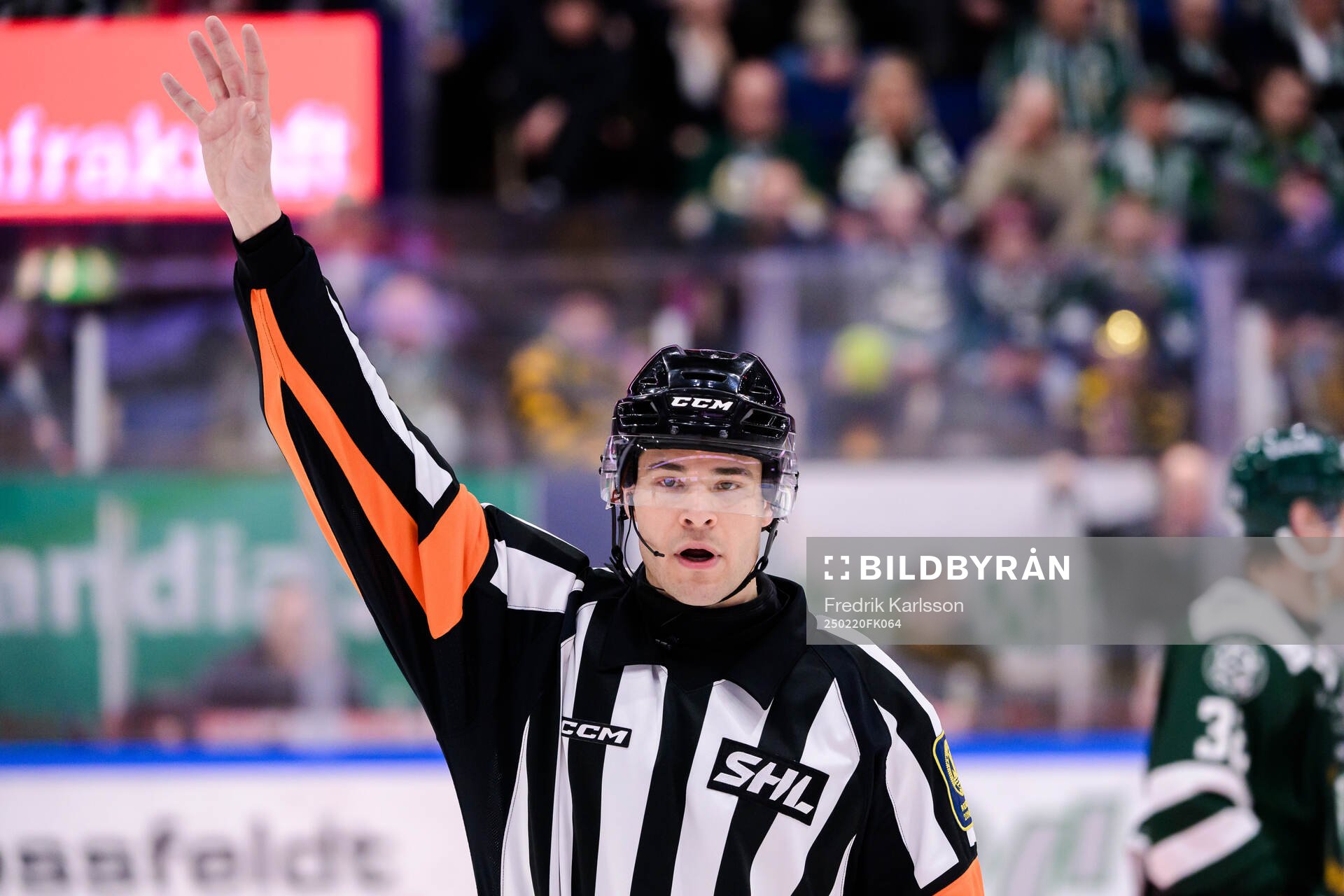 Domare Calle Von Sivers