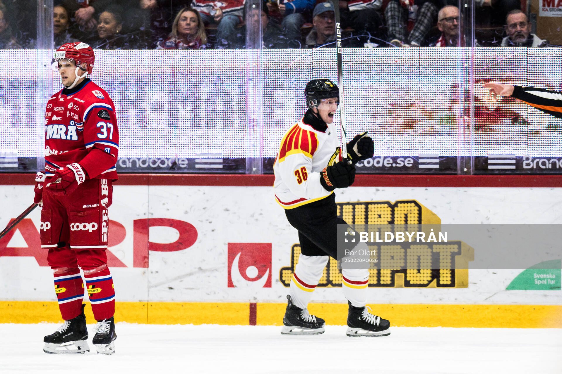 Brynäs Linus Ölund jublar