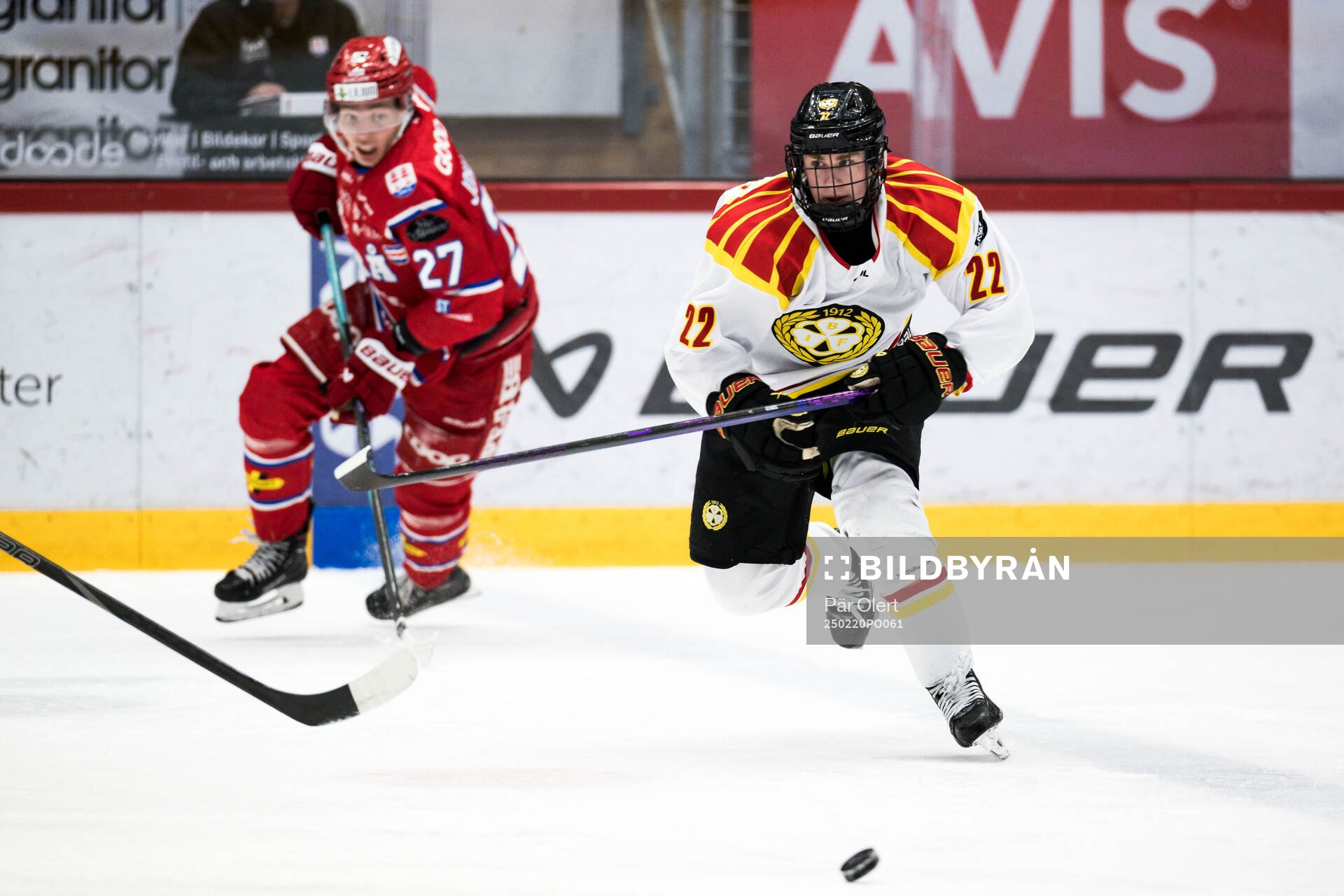 Brynäs Leo Sundqvist
