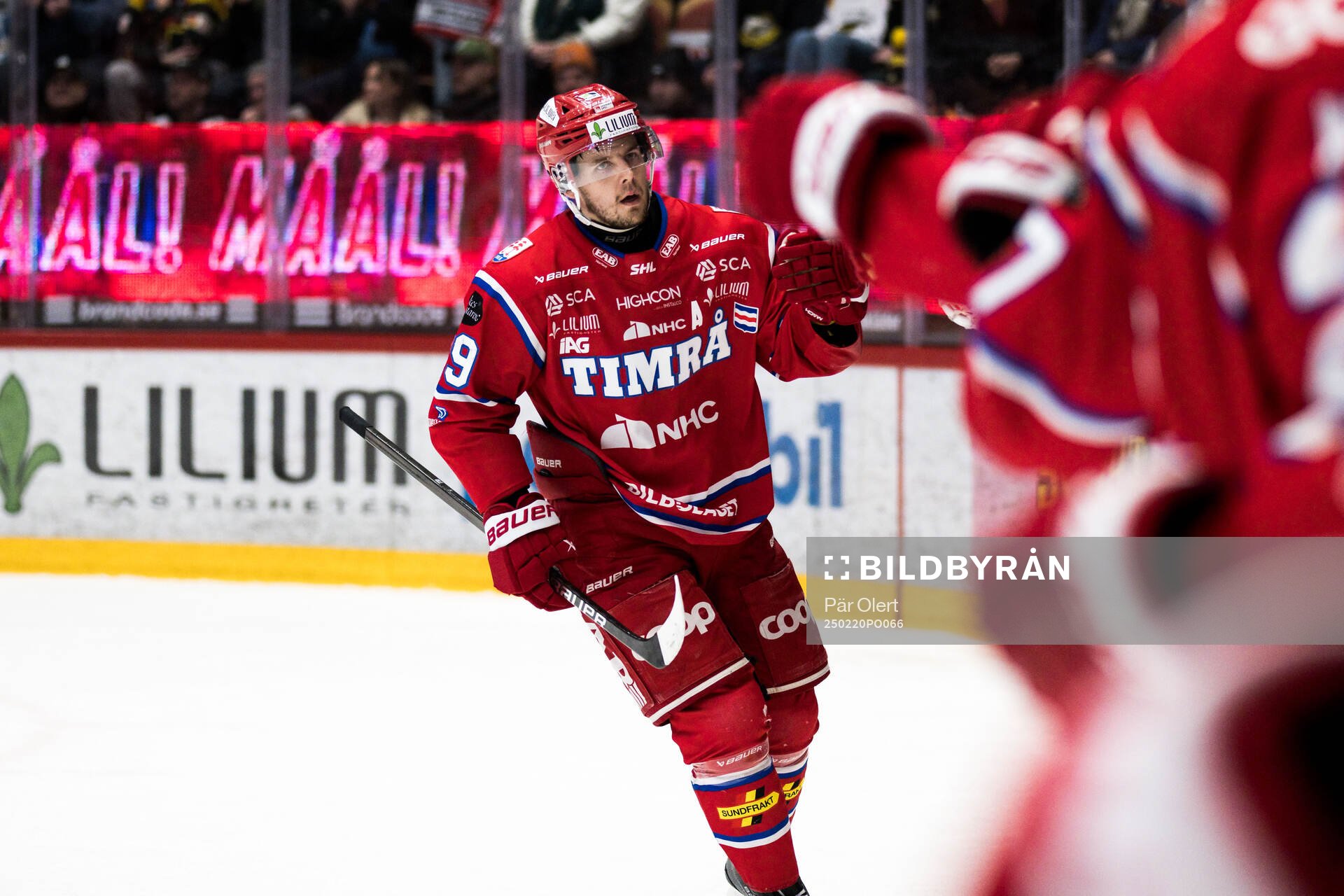 Timrås Filip Hållander jublar