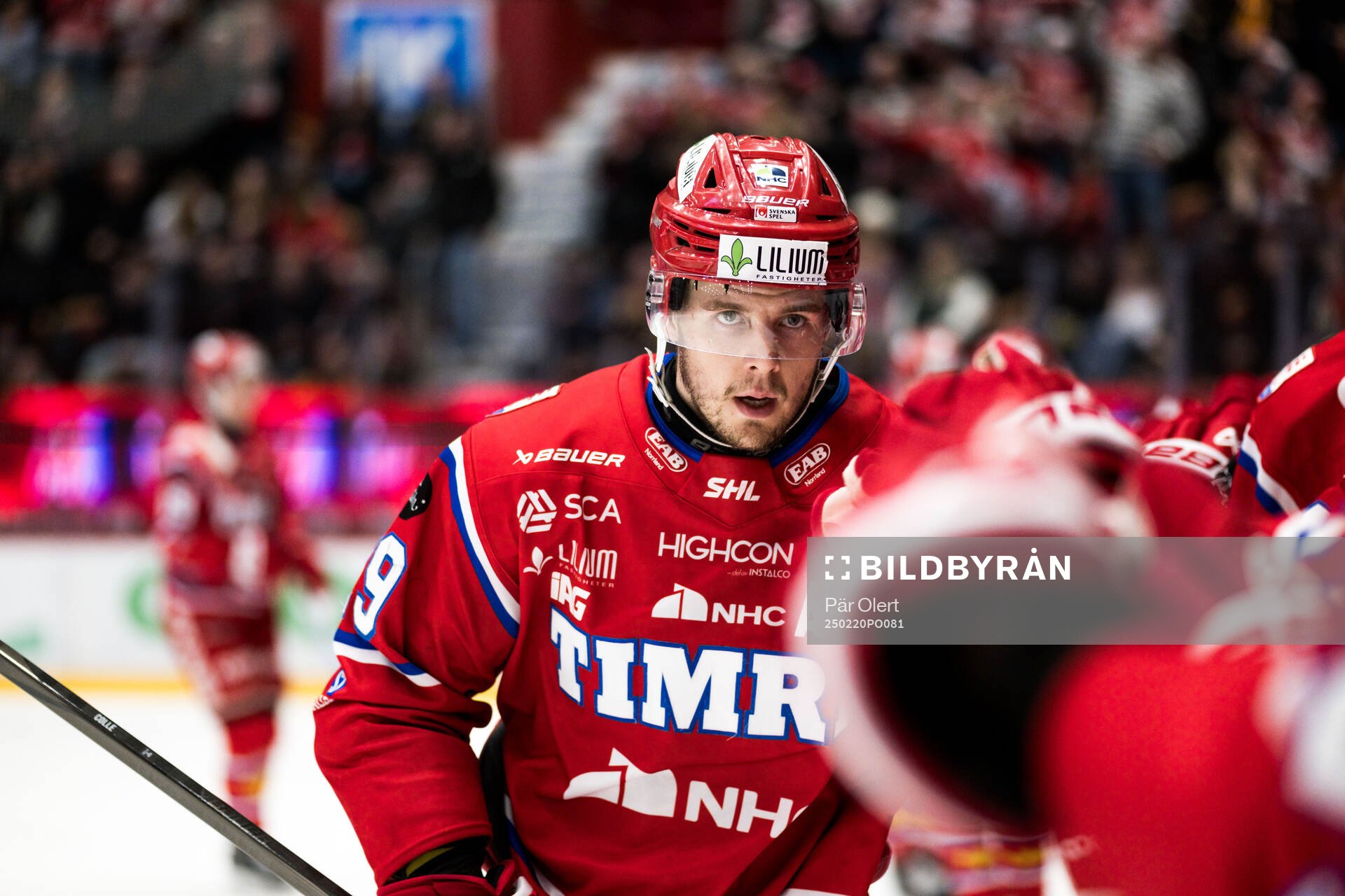 Timrås Filip Hållander jublar