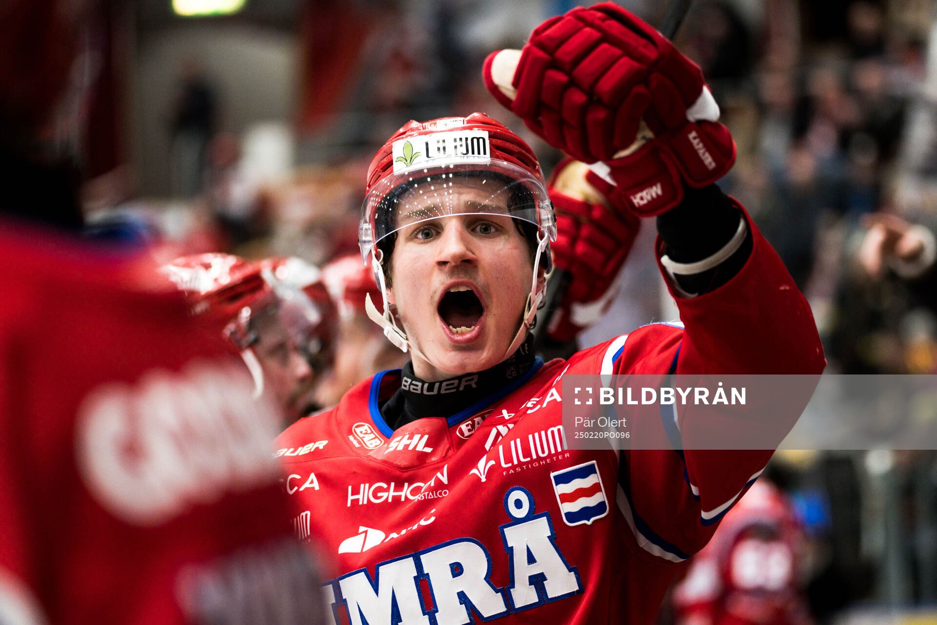 Timrås Oliver Kapanen jublar