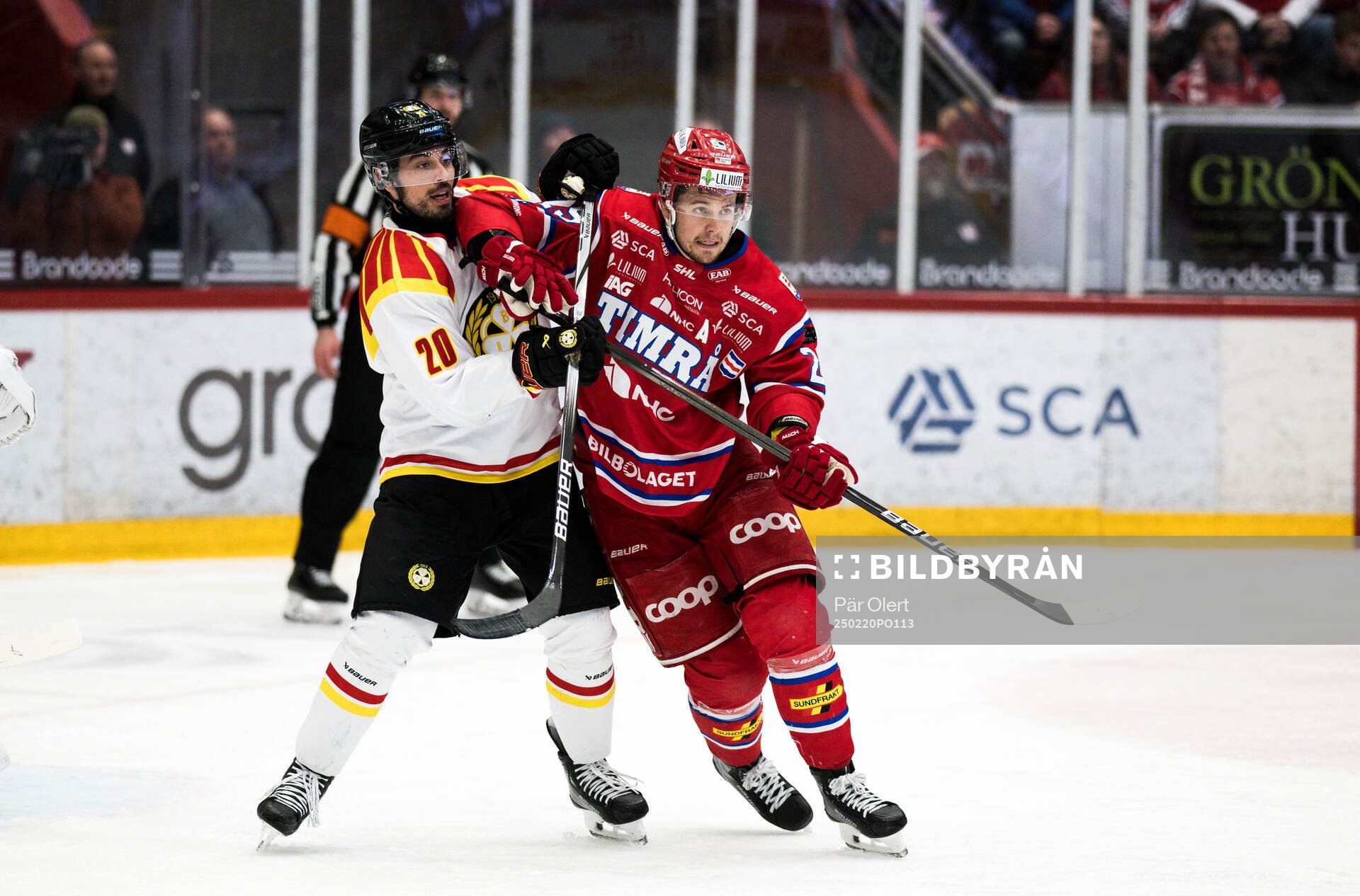 Brynäs Tyler Vesel och Timrås Filip Hållander