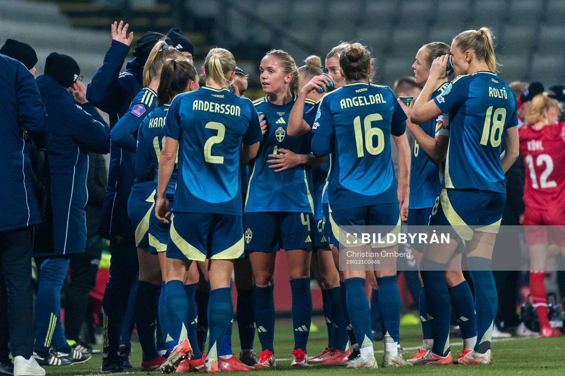 Players of Sweden