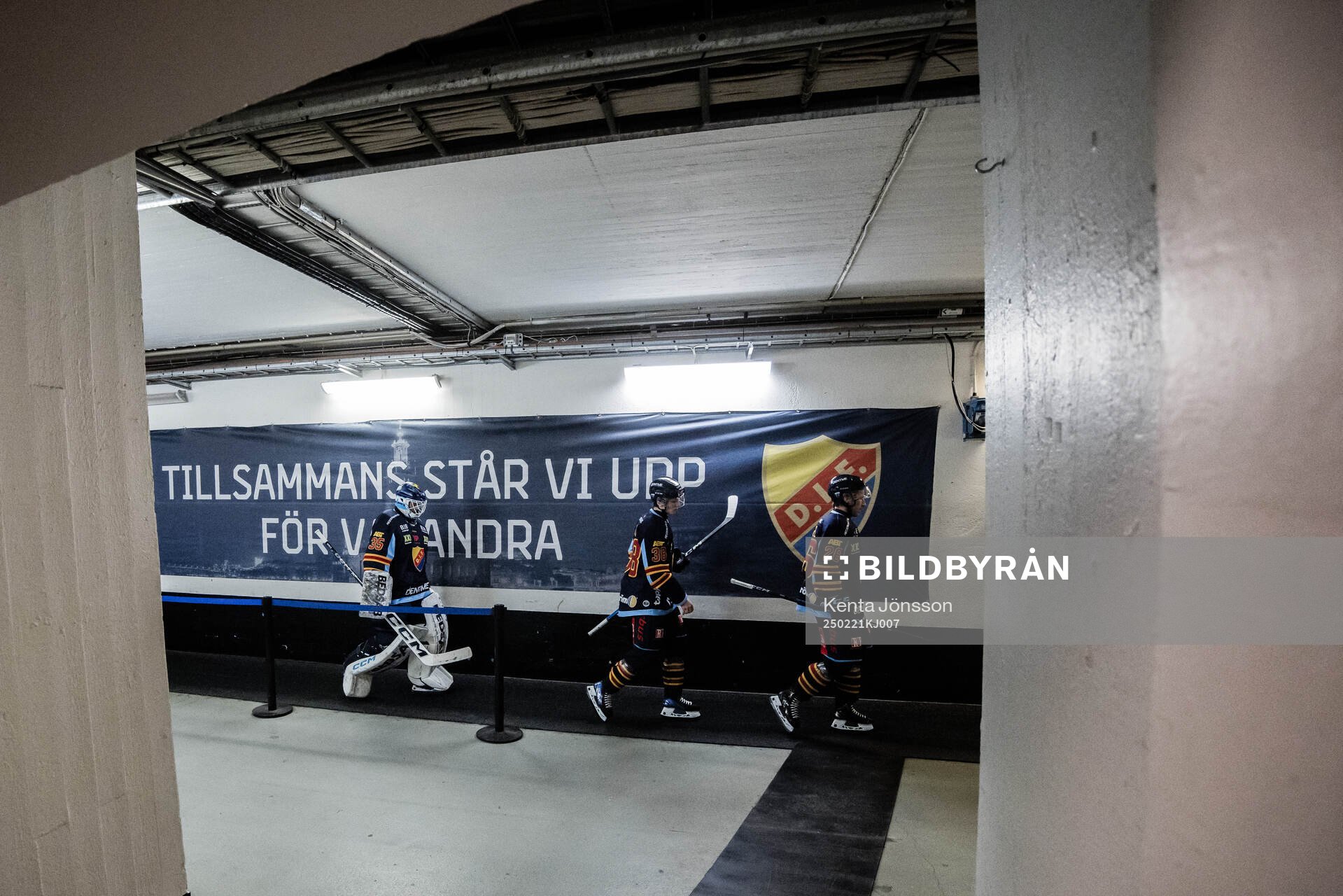 Djurgårdens spelare
