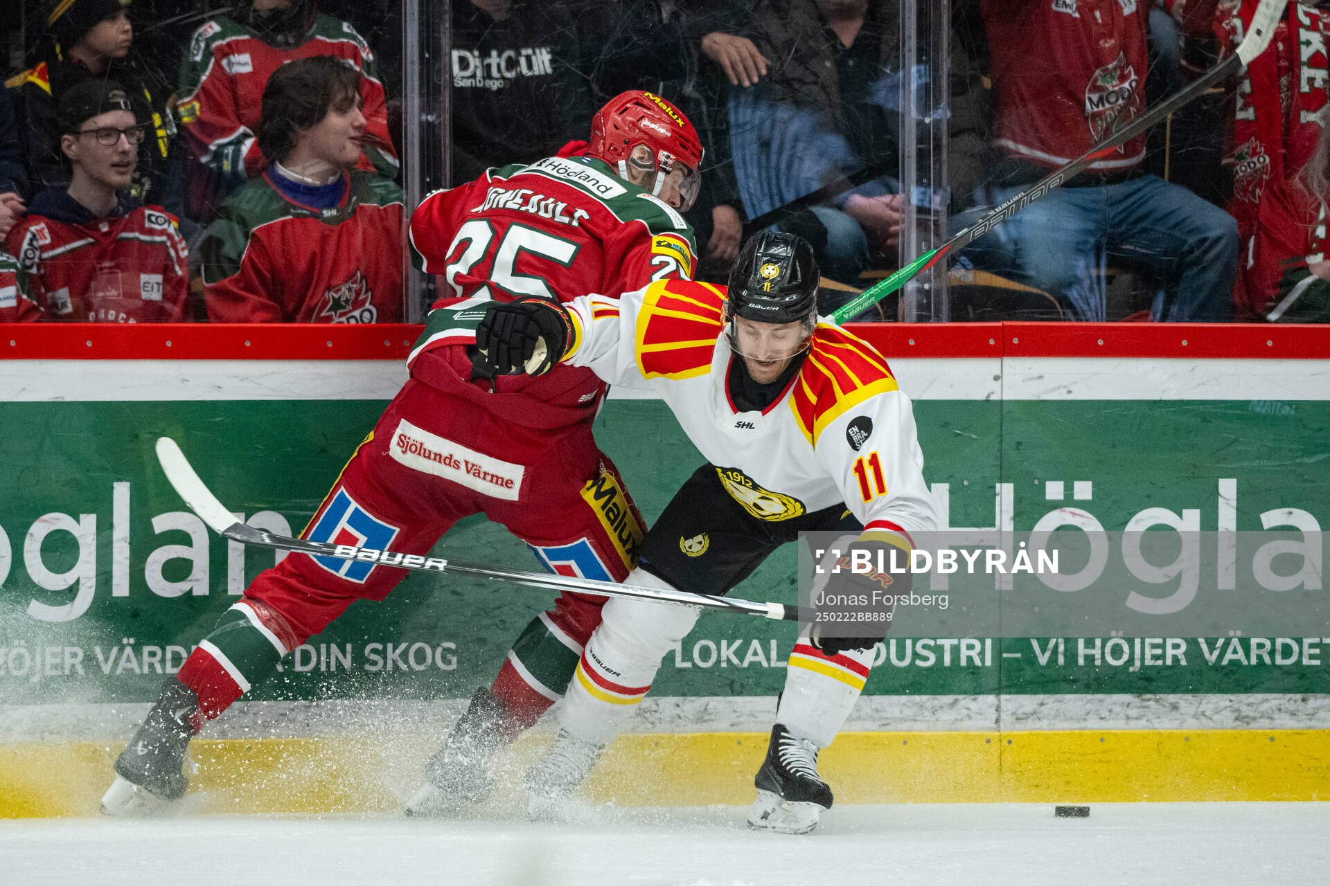 Modos Sam Vigneault och Brynäs Jordan Schroeder