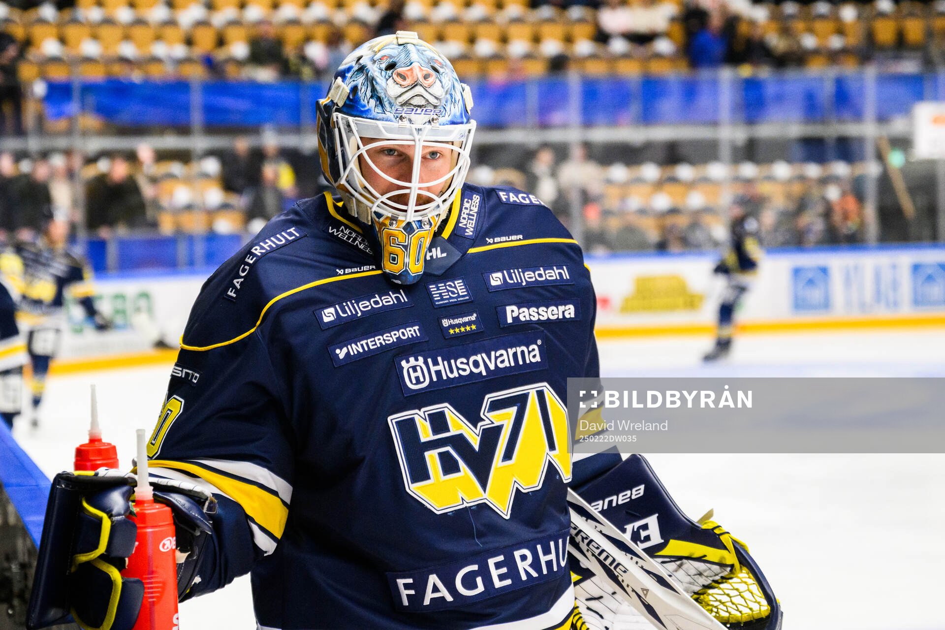 HV71s målvakt Hugo Alnefelt