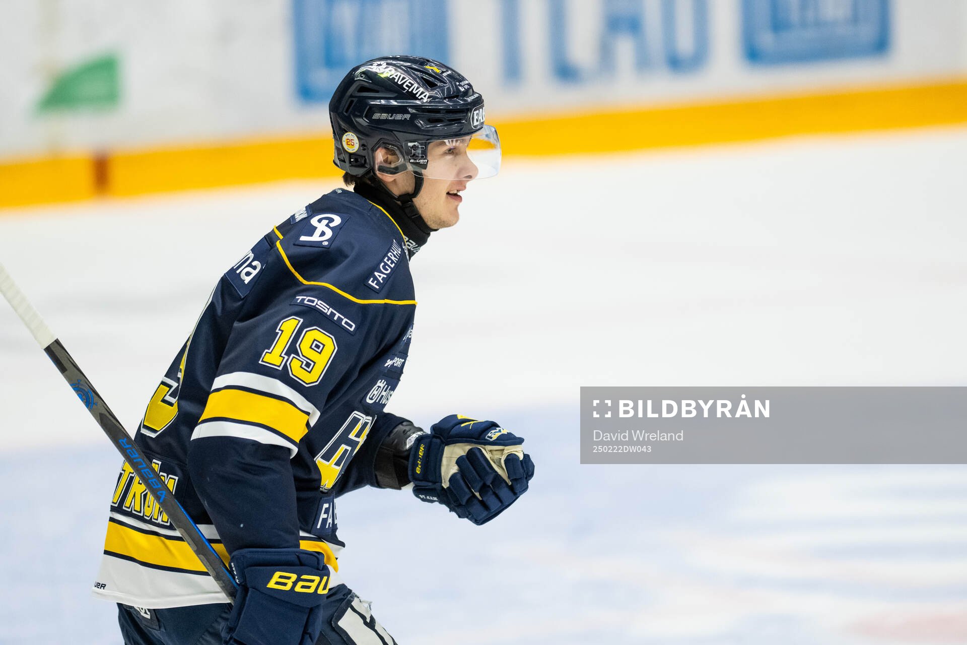 HV71s Henrik Borgström jublar