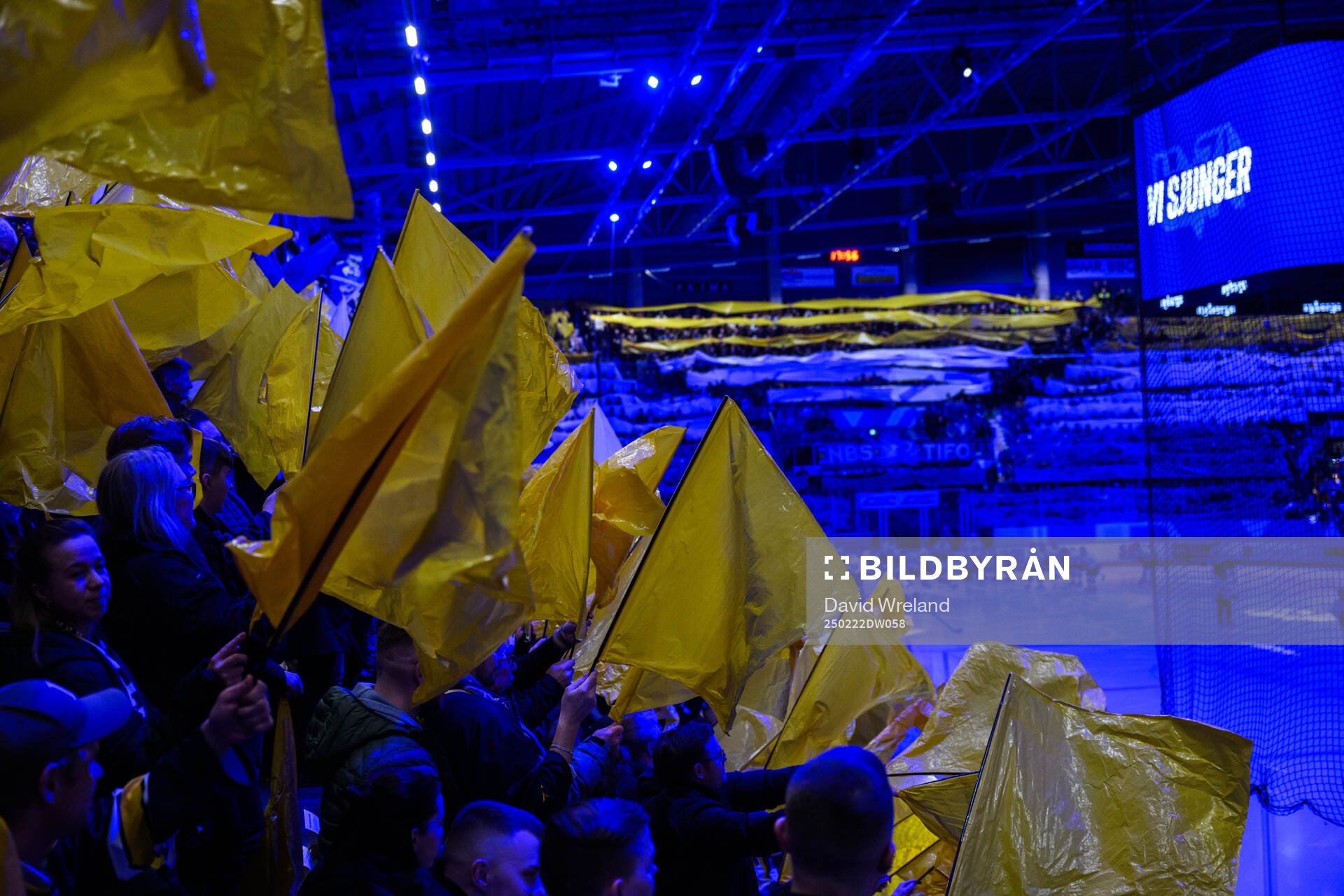 NBS tifo