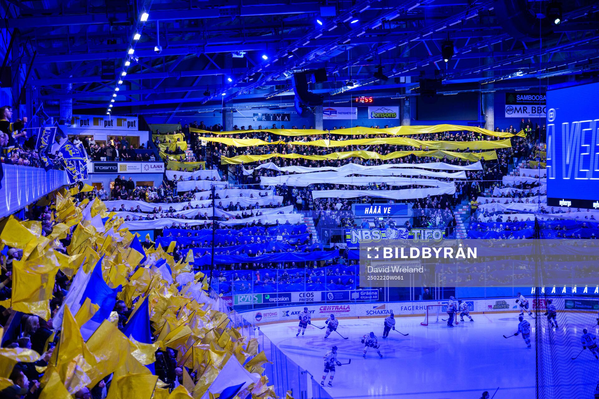 NBS tifo