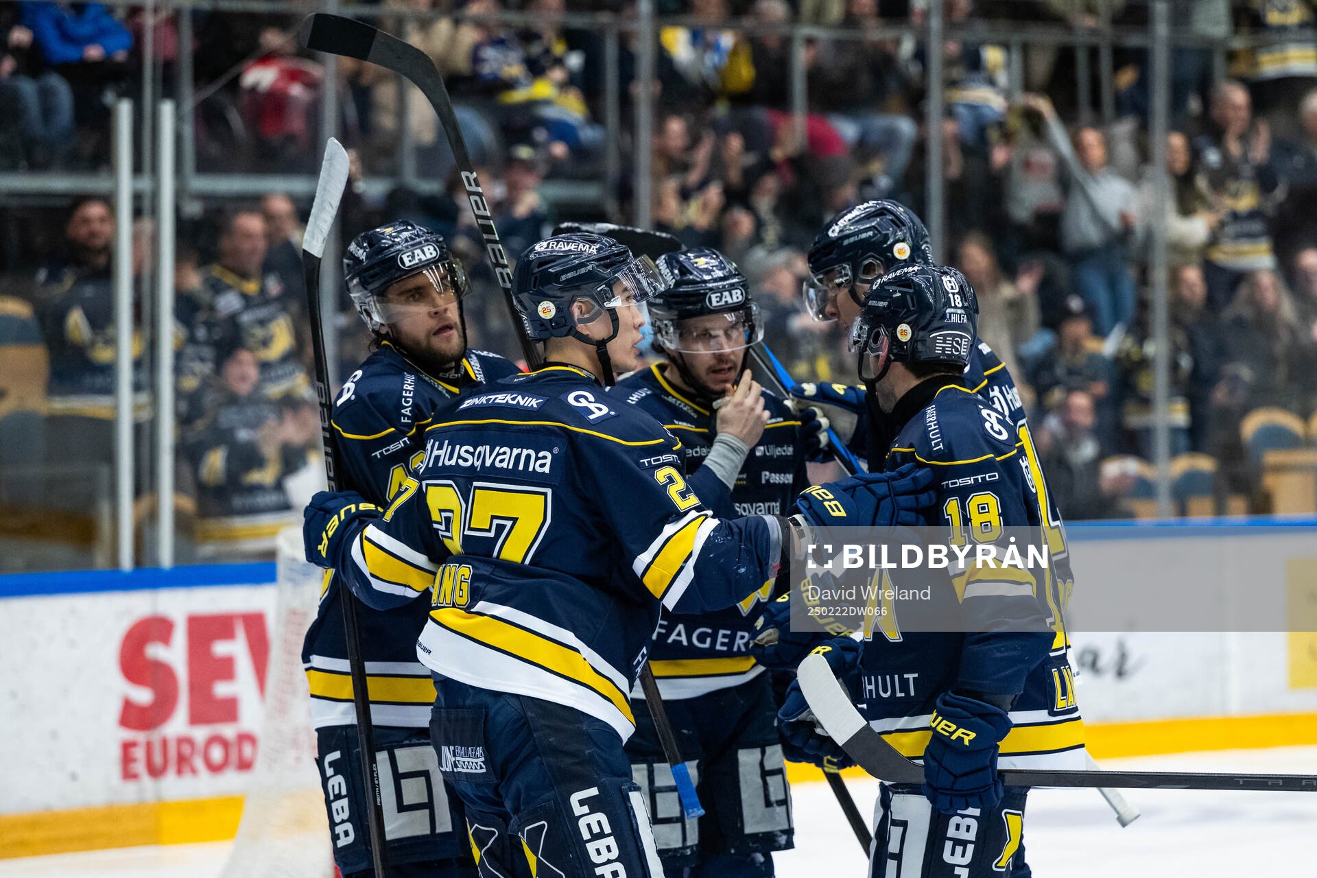 HV71s Joona Luoto jublar med lagkamrater Jonathan Ang och