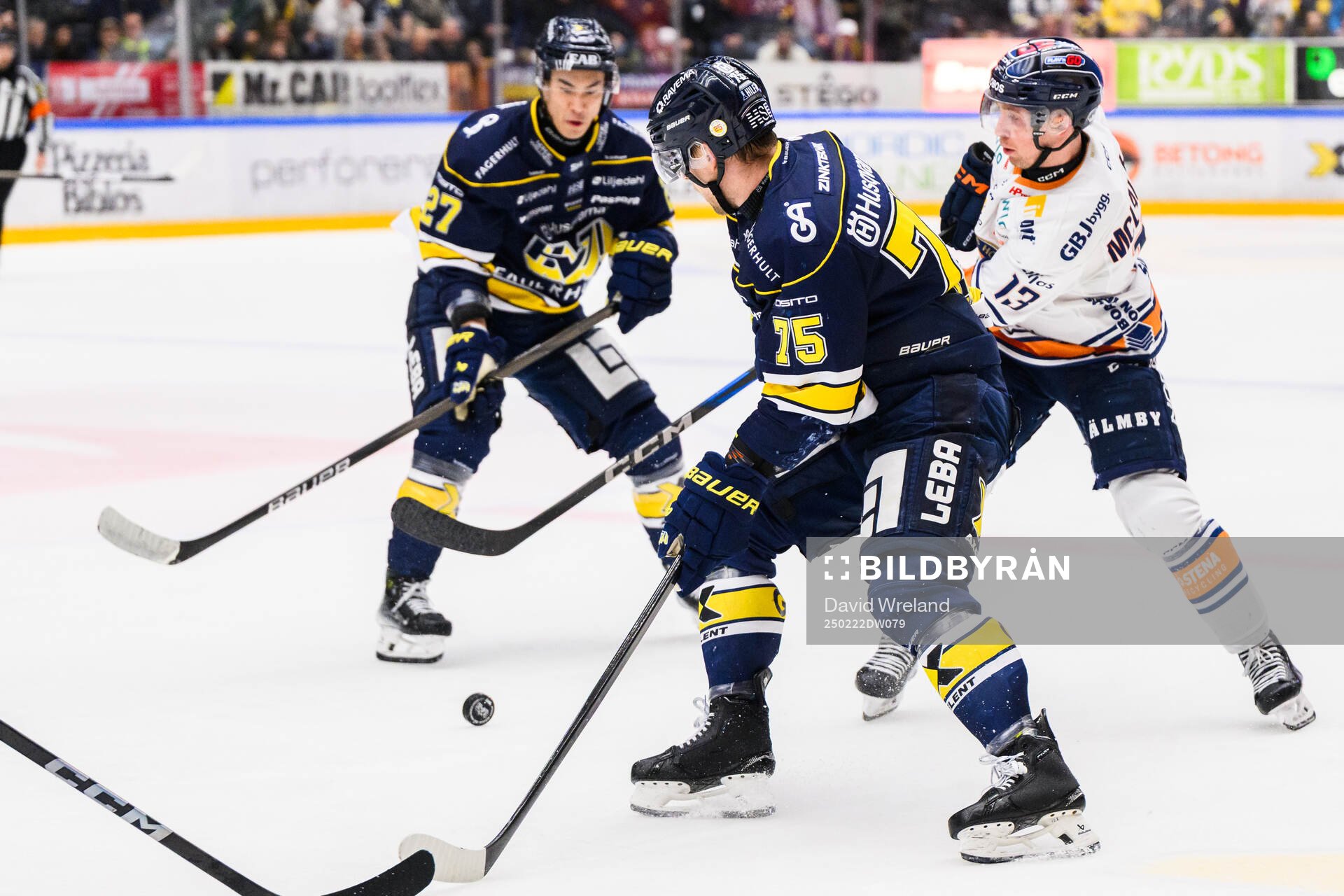 HV71s Radan Lenc  och Växjös Dylan McLaughlin