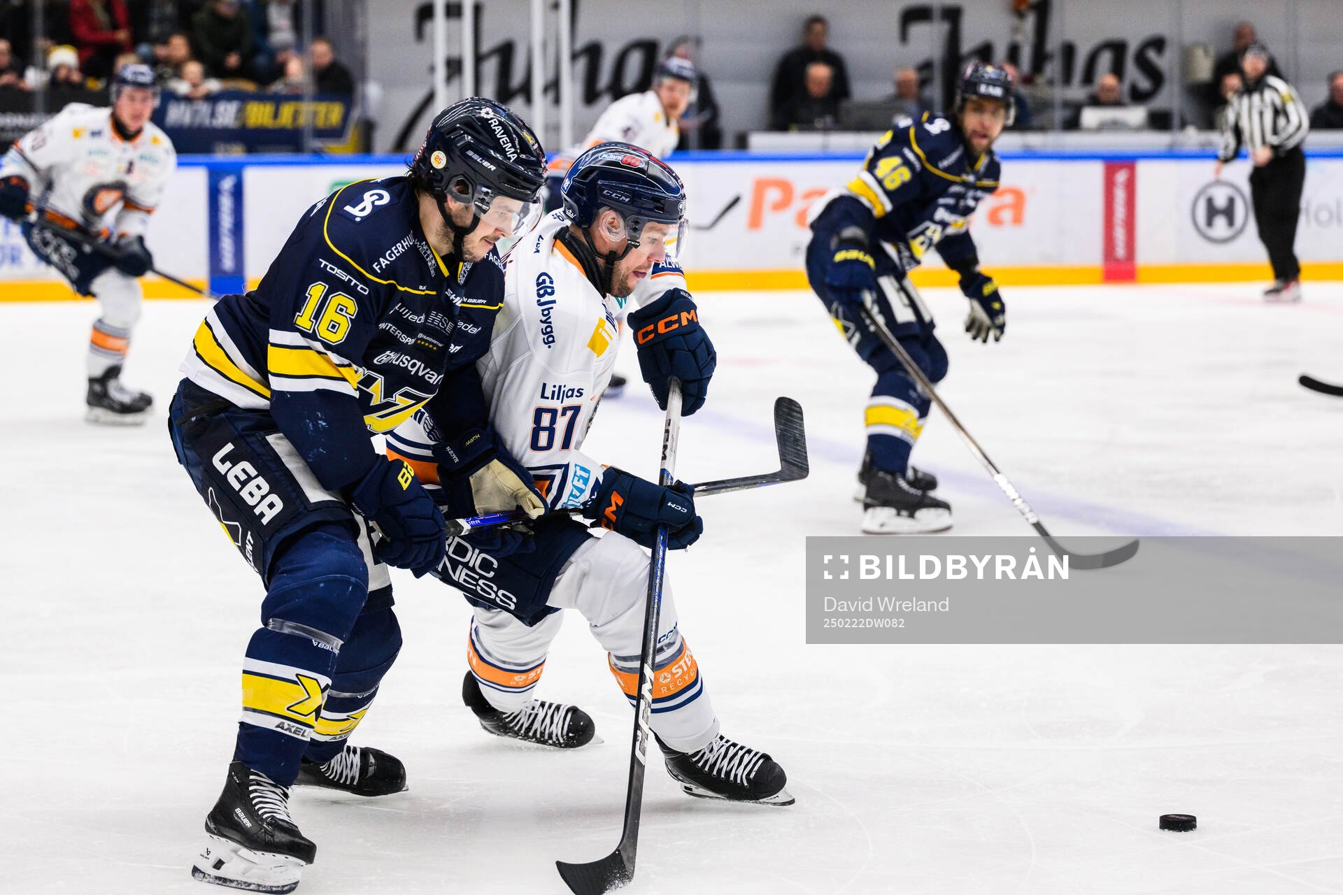 HV71s Tanner Kero och Växjös Robert Rosén