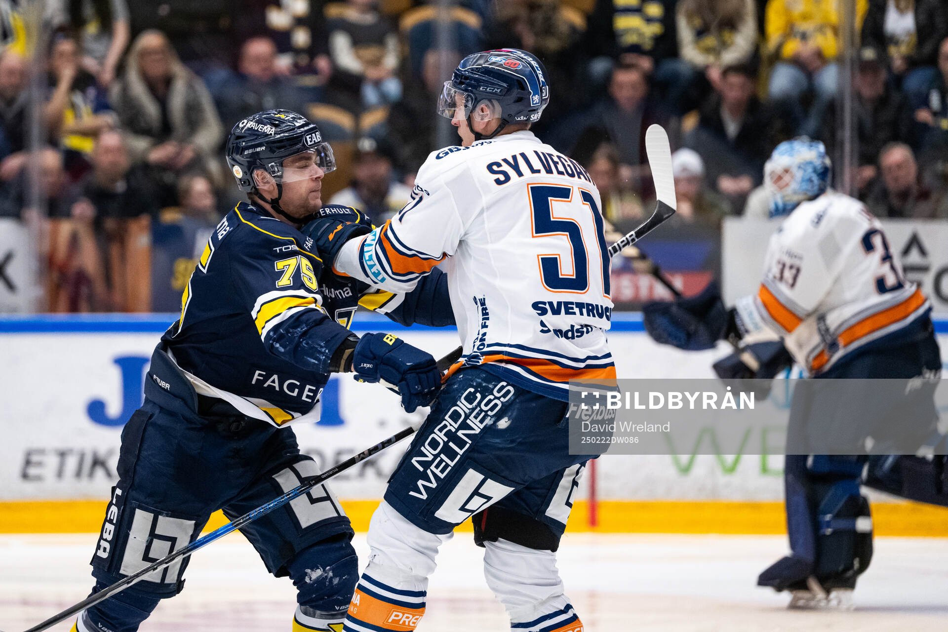 HV71s Radan Lenc och Växjös Emil Sylvegård