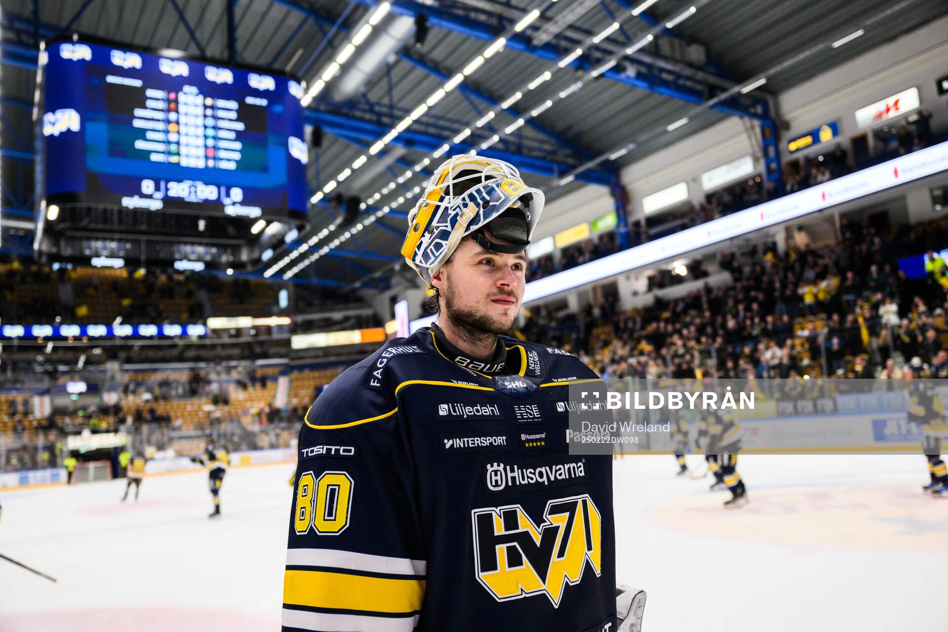 HV71s målvakt Frederik Dichow jublar