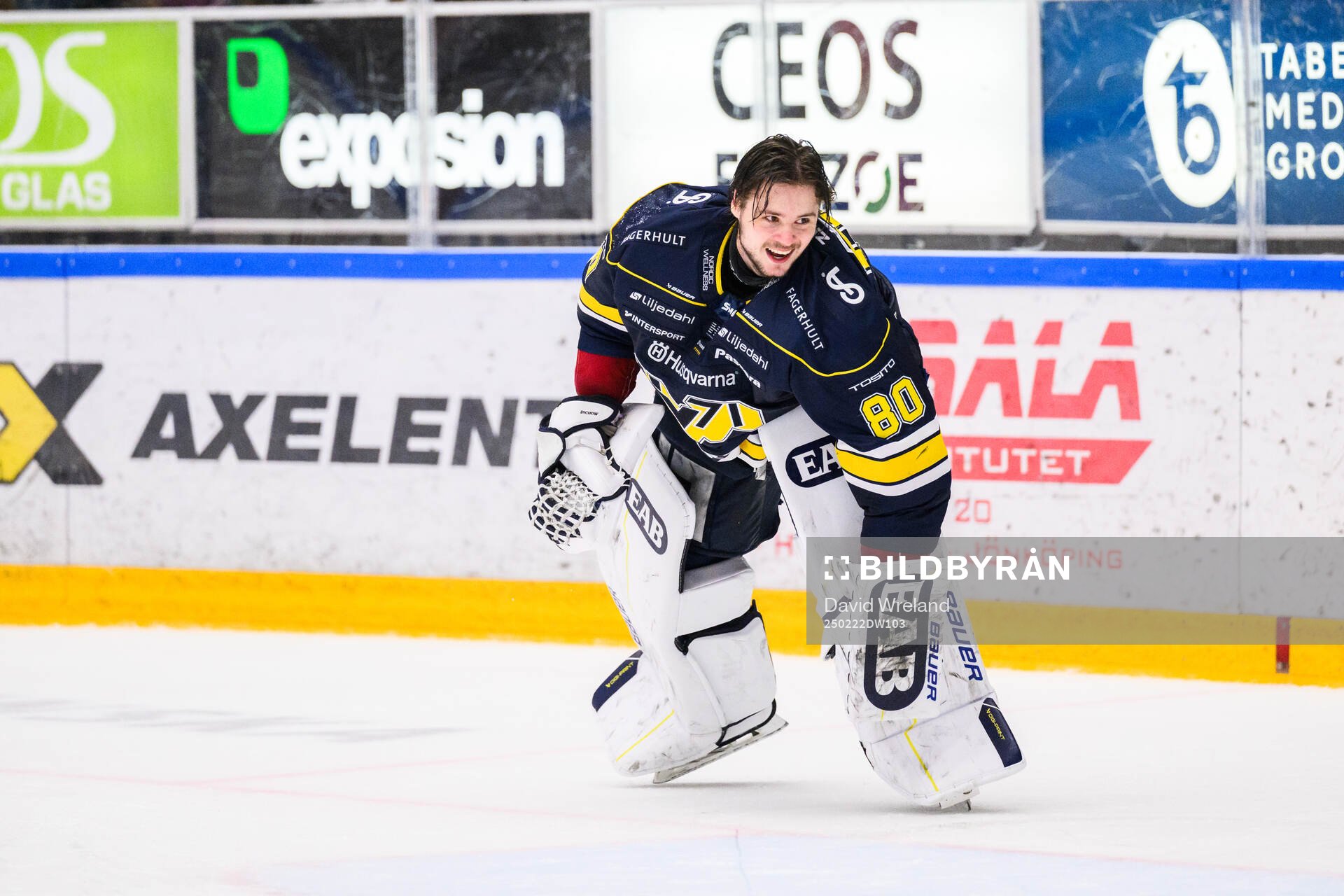 HV71s målvakt Frederik Dichow jublar