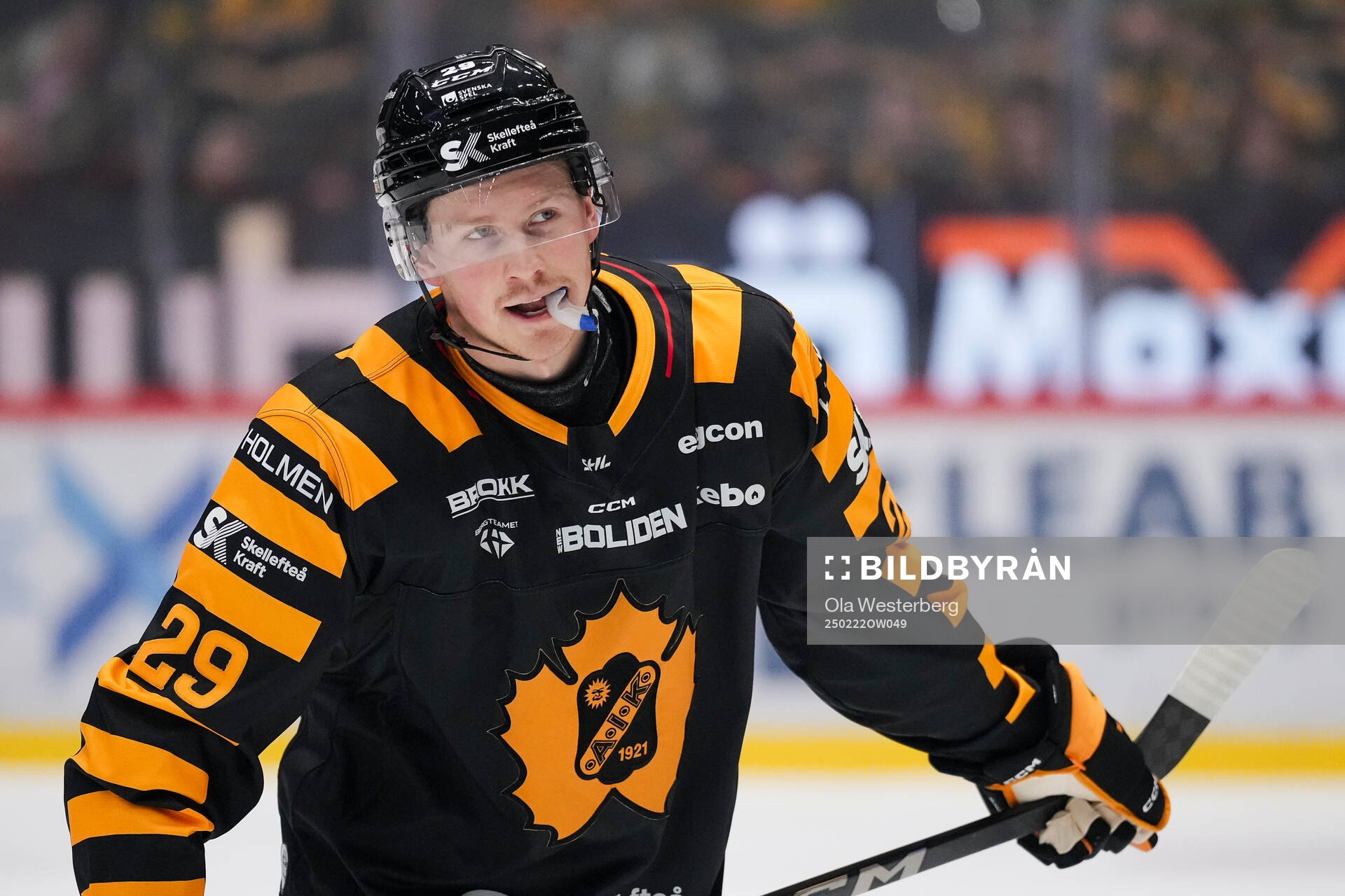 Skellefteås Ludvig Warg