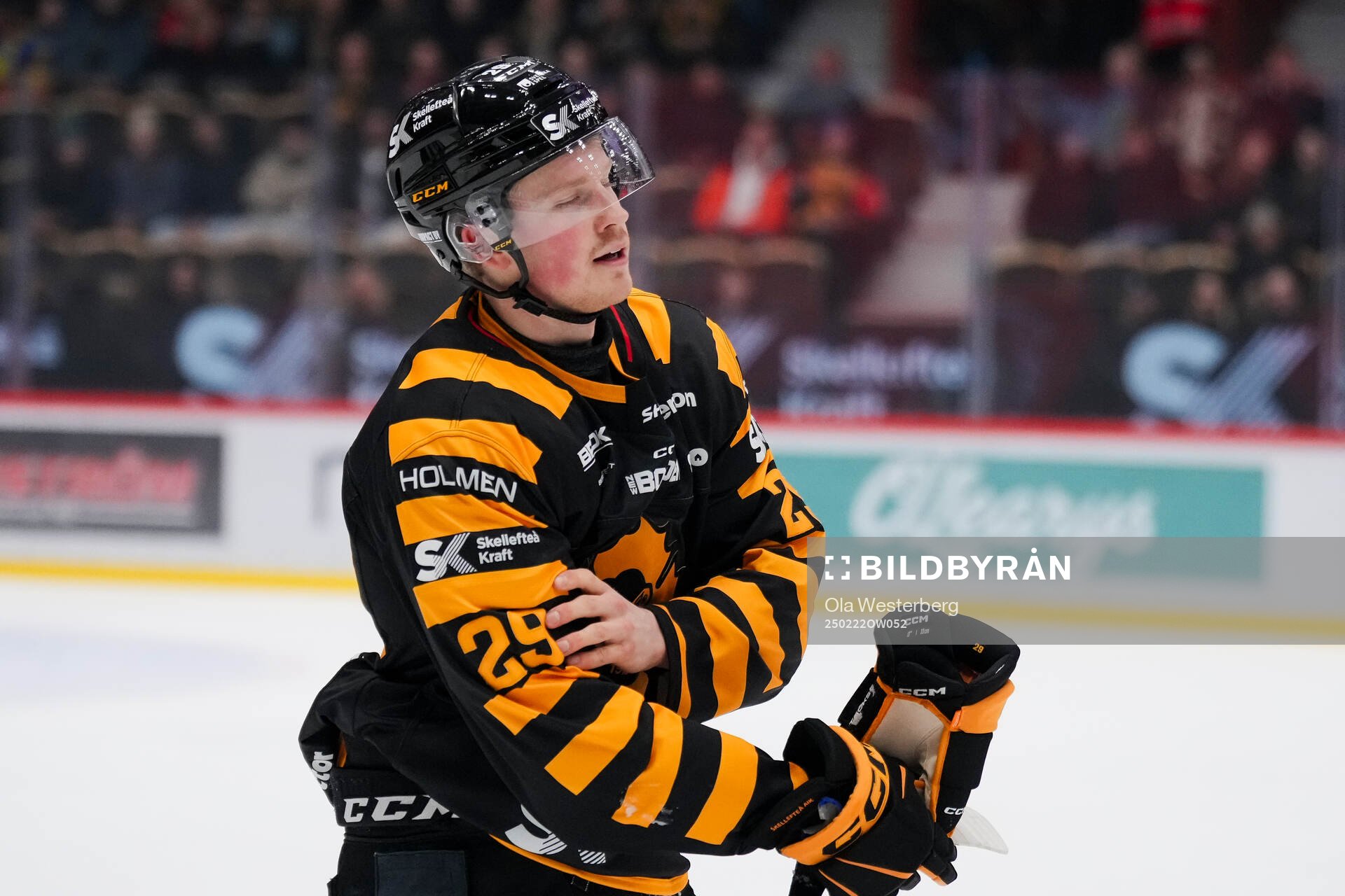 Skellefteås Ludvig Warg