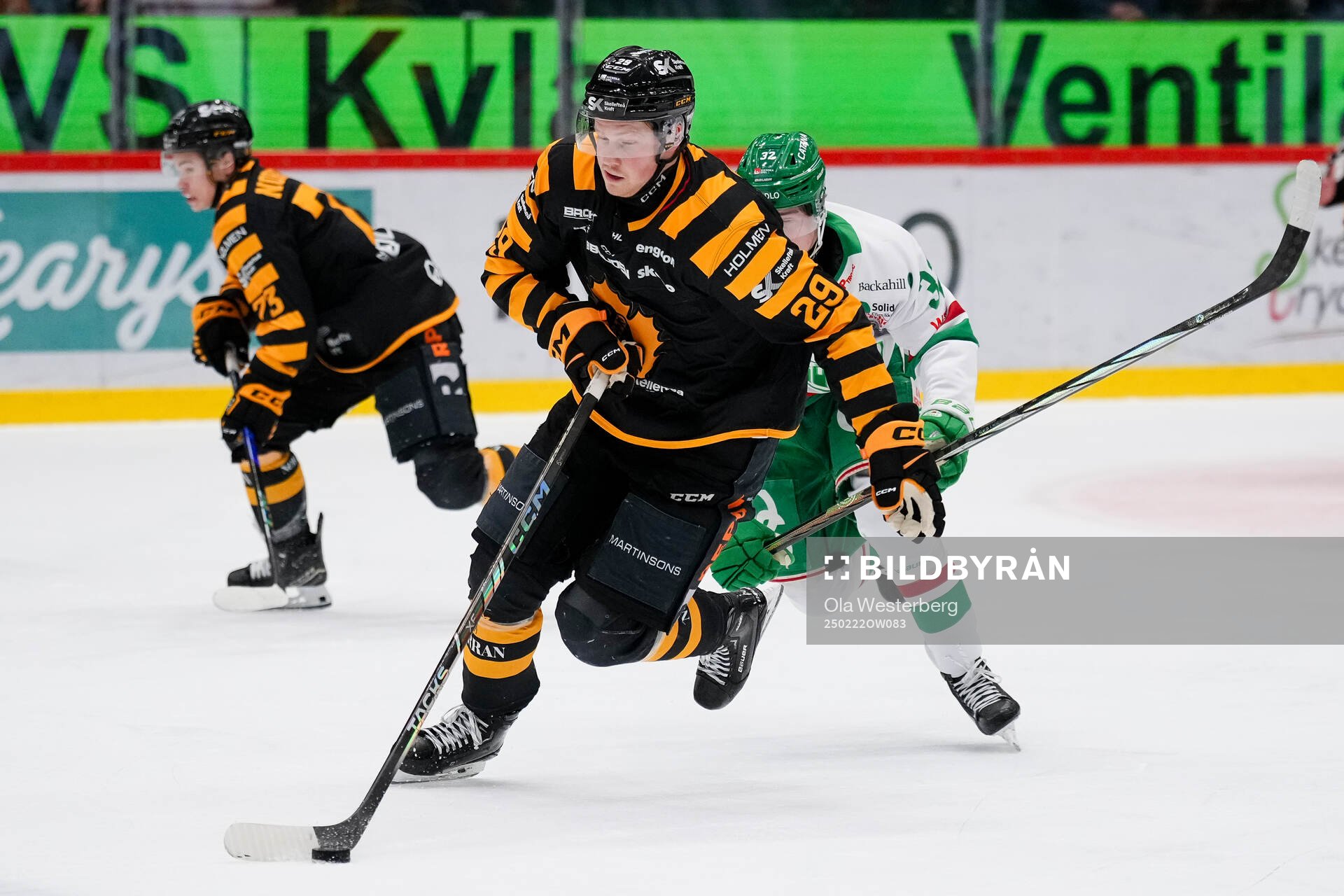 Skellefteås Ludvig Warg