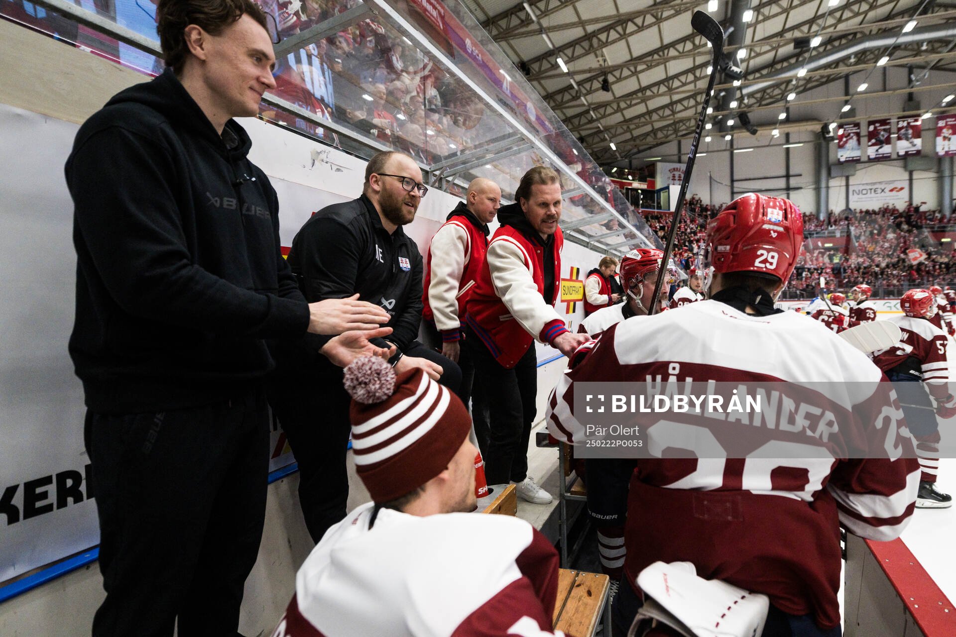Timrås tränare Olli Jokinen och Filip Hållander jublar